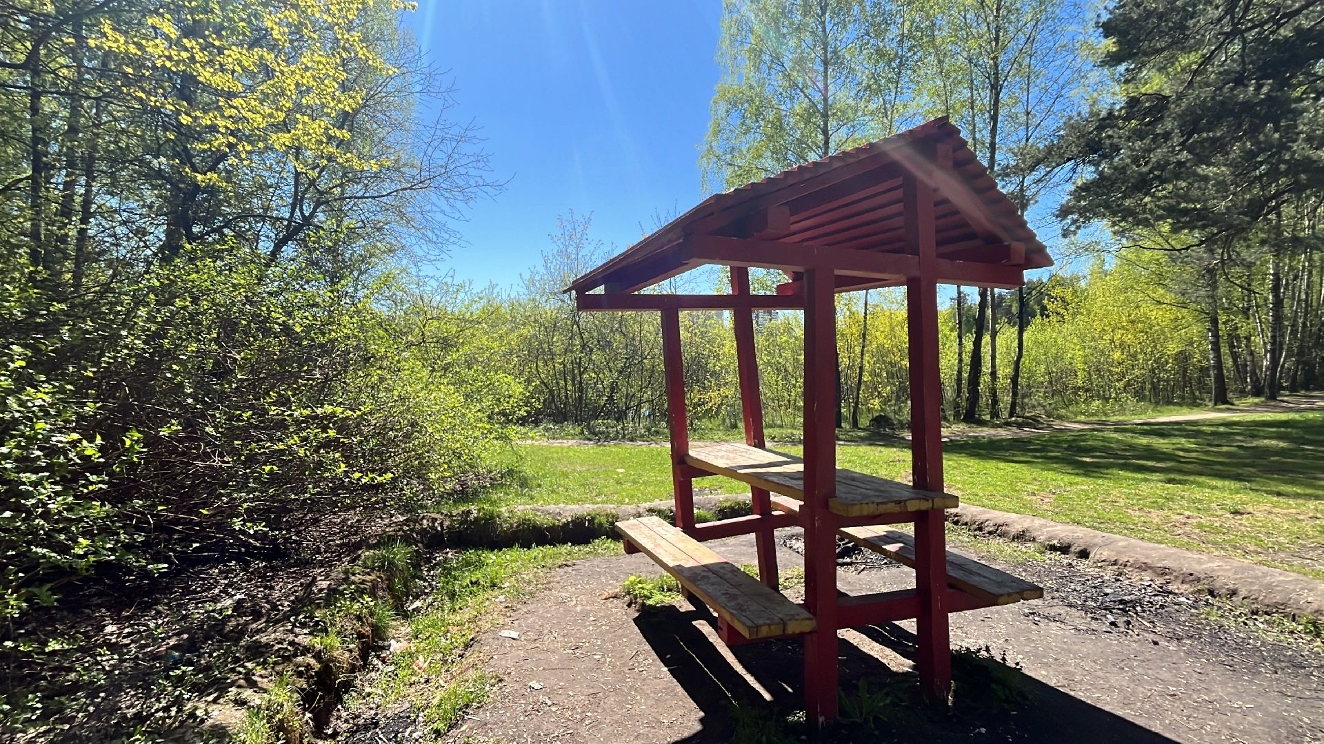 шашлык, шашлыки, озеро, шашлык у озера, мангал,