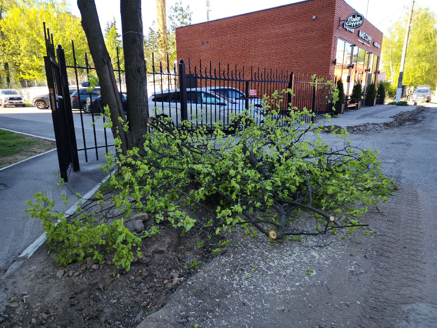 пушкино, проезд, освещение, опиловка,благоустройство,