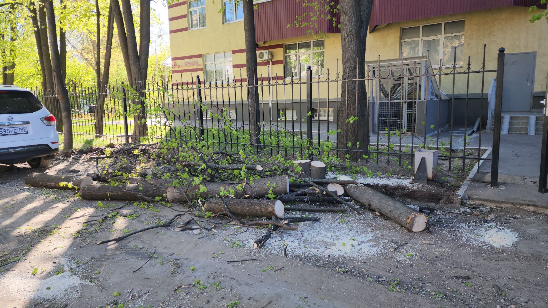 пушкино, проезд, освещение, опиловка,благоустройство,