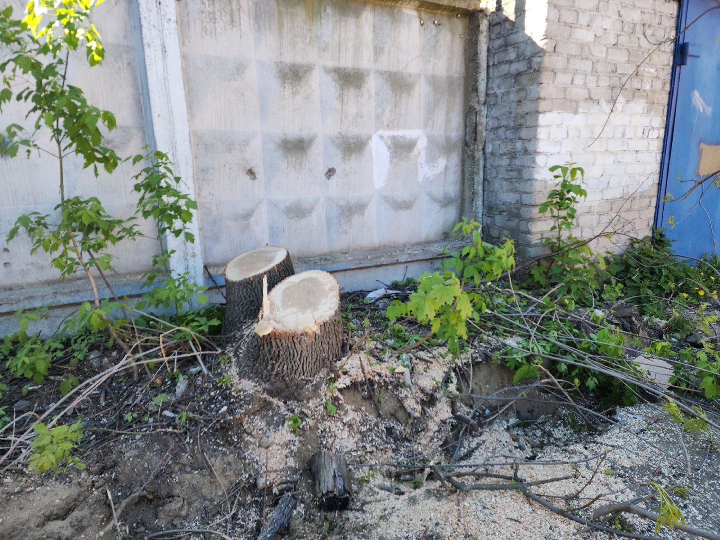 пушкино, проезд, освещение, опиловка,благоустройство,