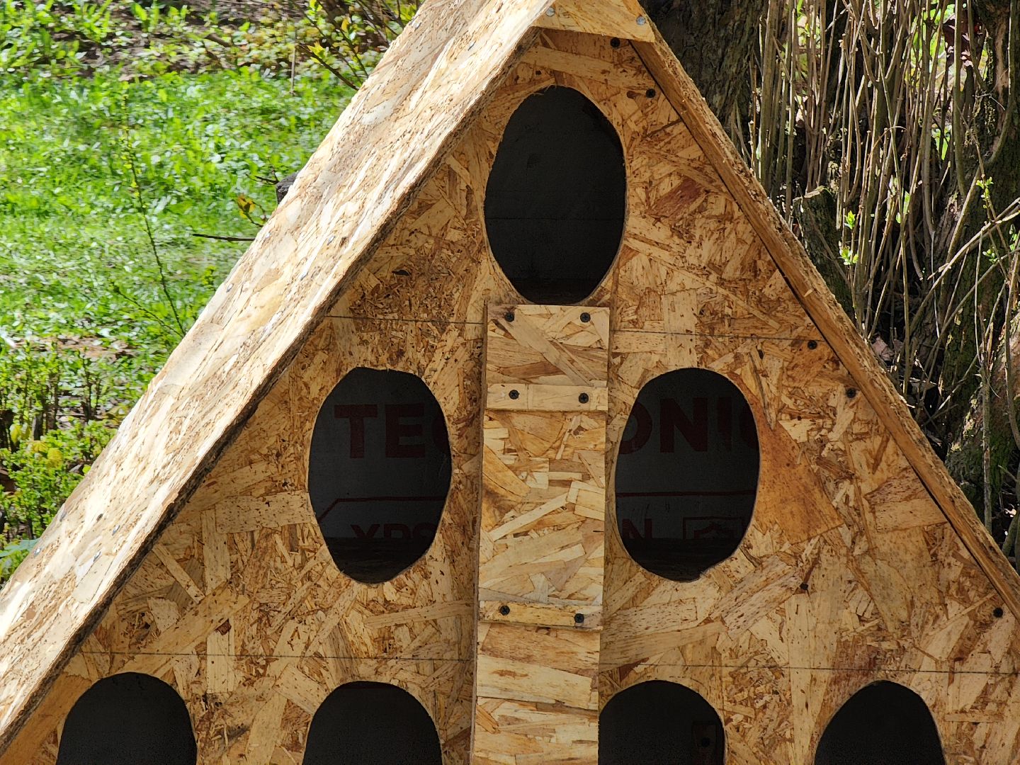 коты, кошкин дом, двор, Благоустройство, руза, рузский городской округ, московская область,