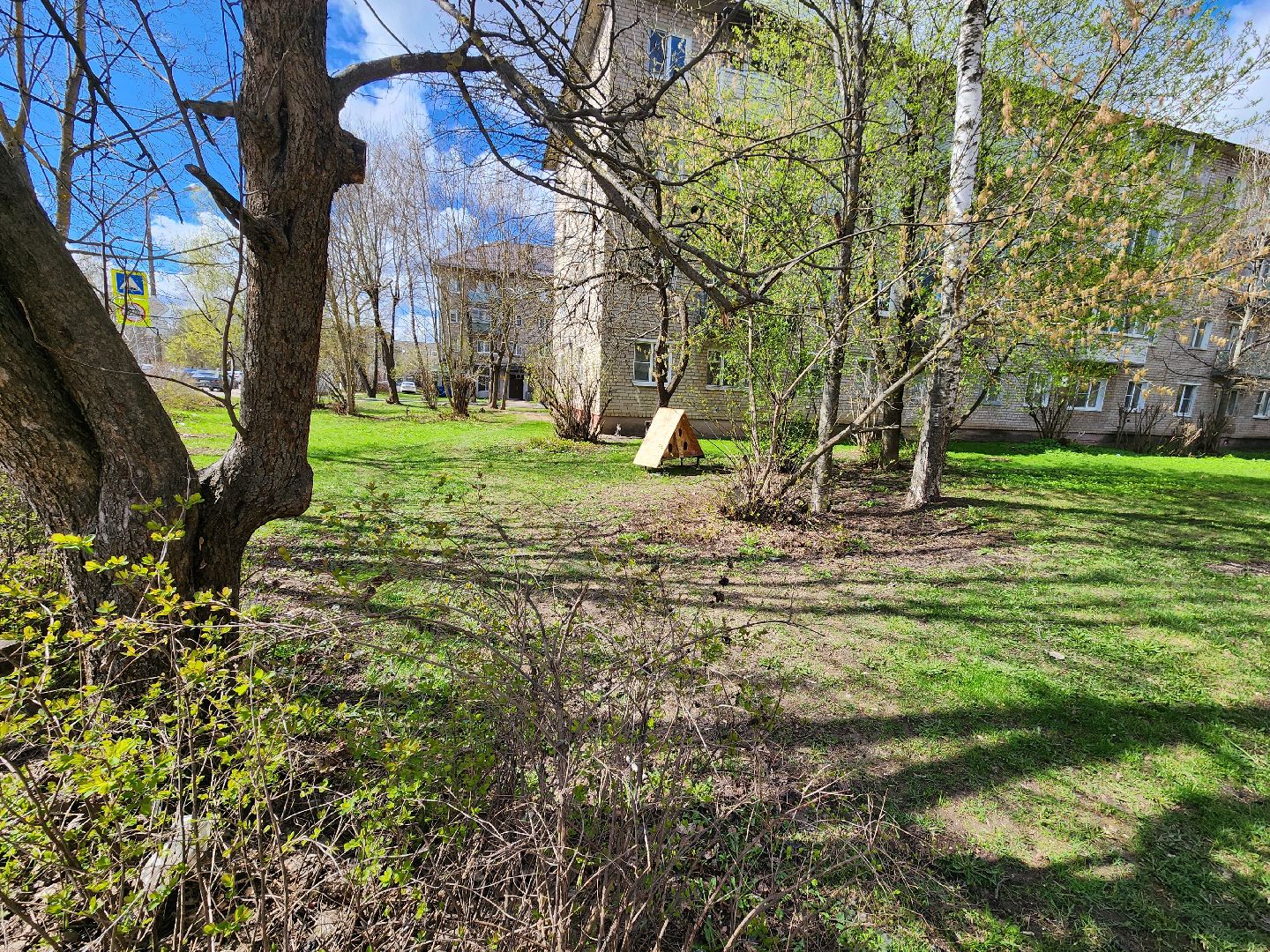 коты, кошкин дом, двор, Благоустройство, руза, рузский городской округ, московская область,