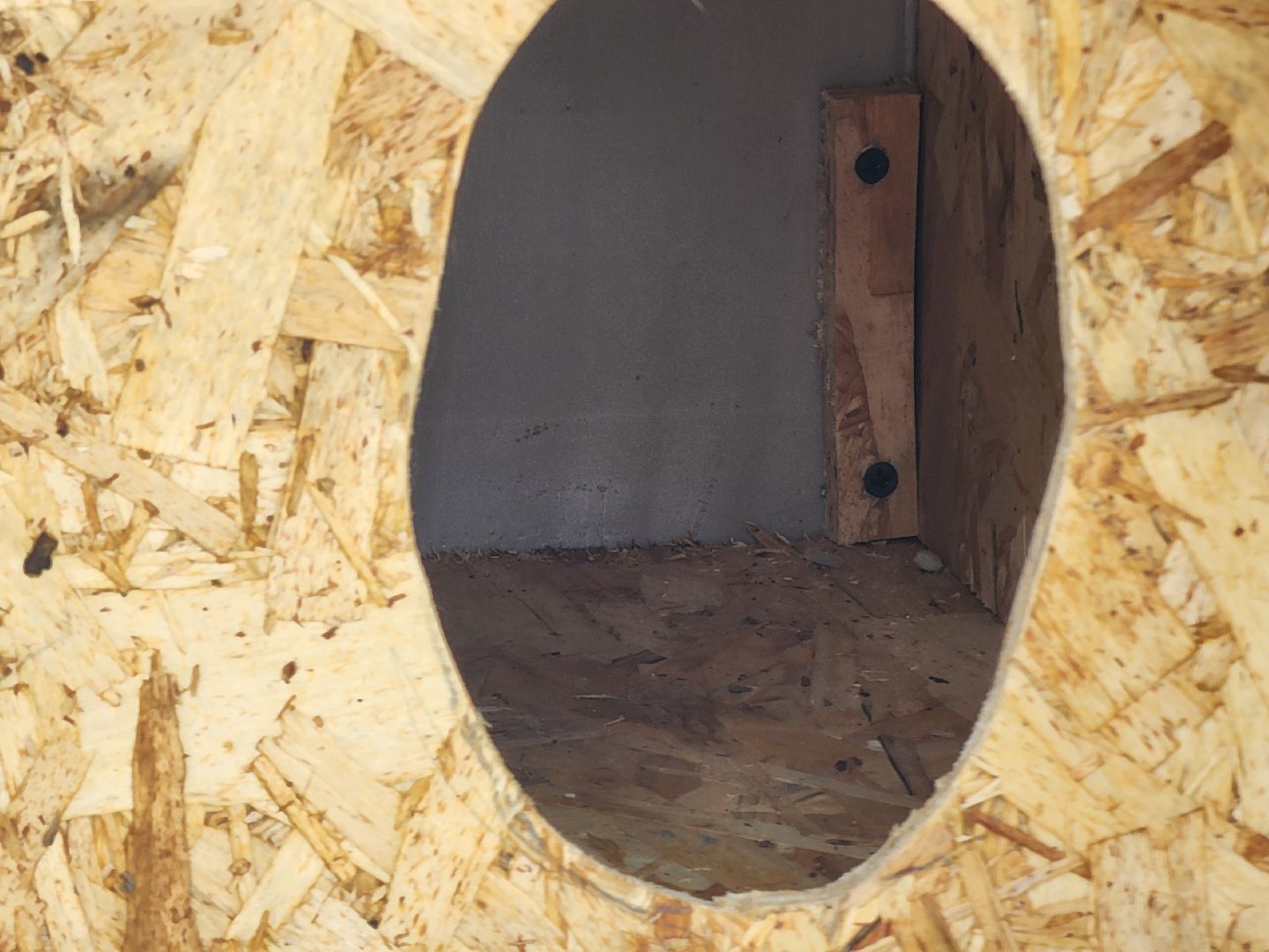 коты, кошкин дом, двор, Благоустройство, руза, рузский городской округ, московская область,