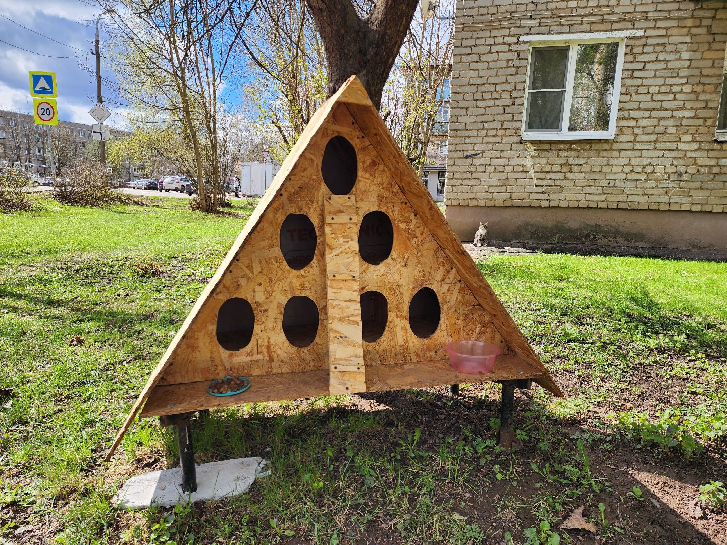 коты, кошкин дом, двор, Благоустройство, руза, рузский городской округ, московская область,