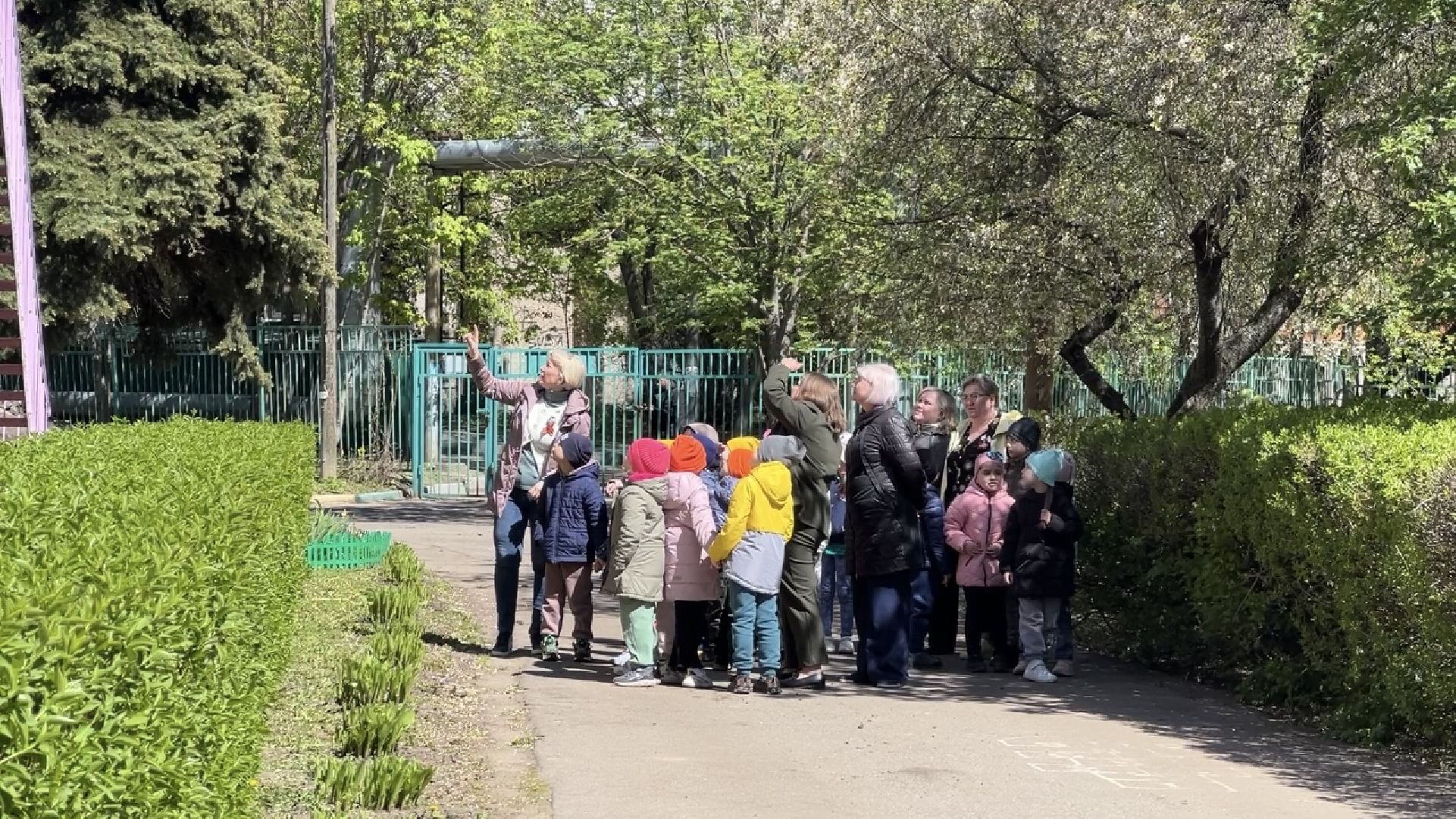 химки, детский сад, окна победы, день победы,