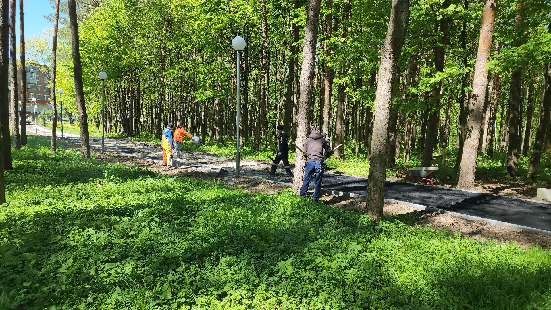 кашира, городской парк, тротуар, дорожка, новый асфальт, ремонт, благоустройство,