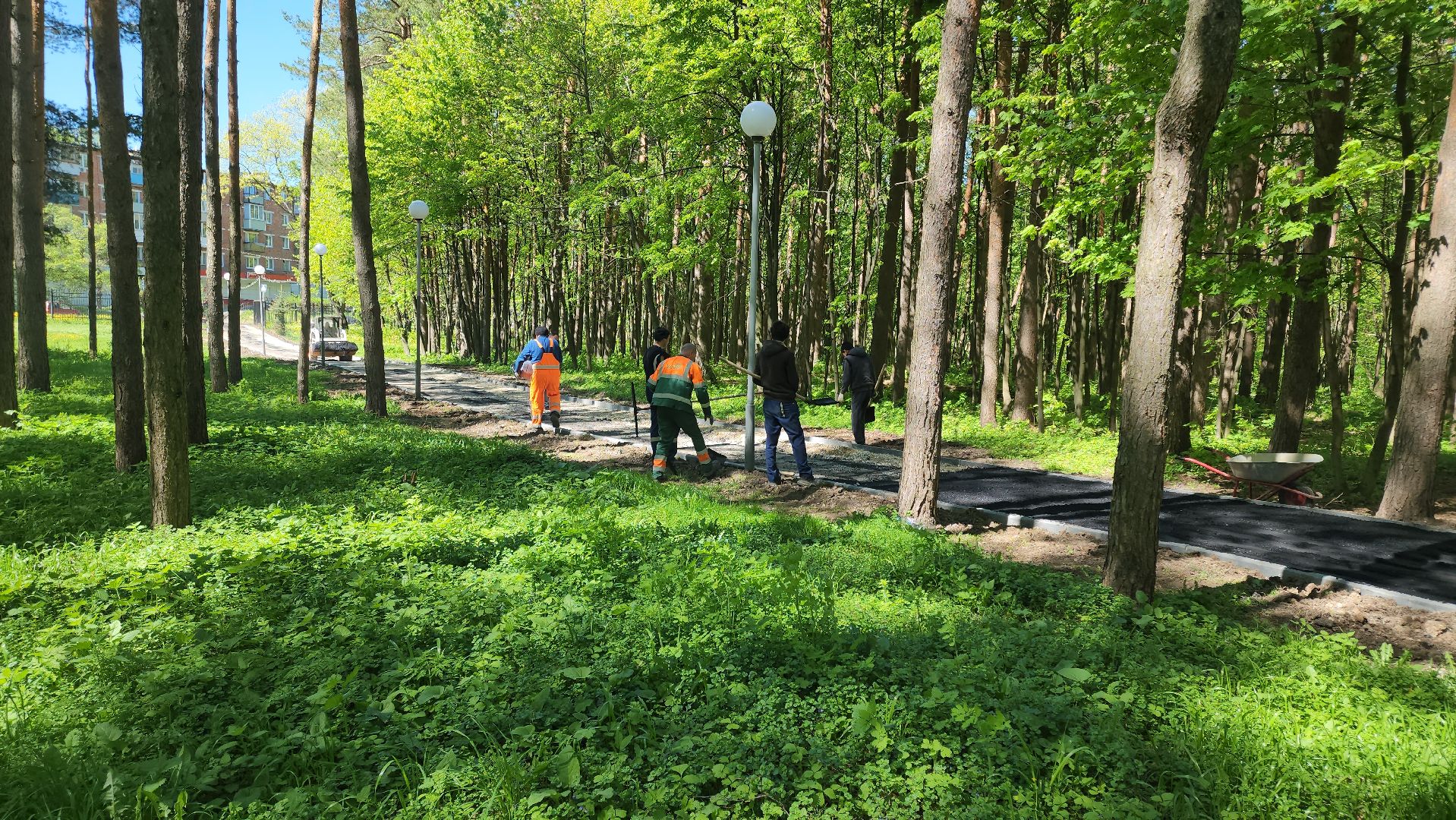 кашира, городской парк, тротуар, дорожка, новый асфальт, ремонт, благоустройство,