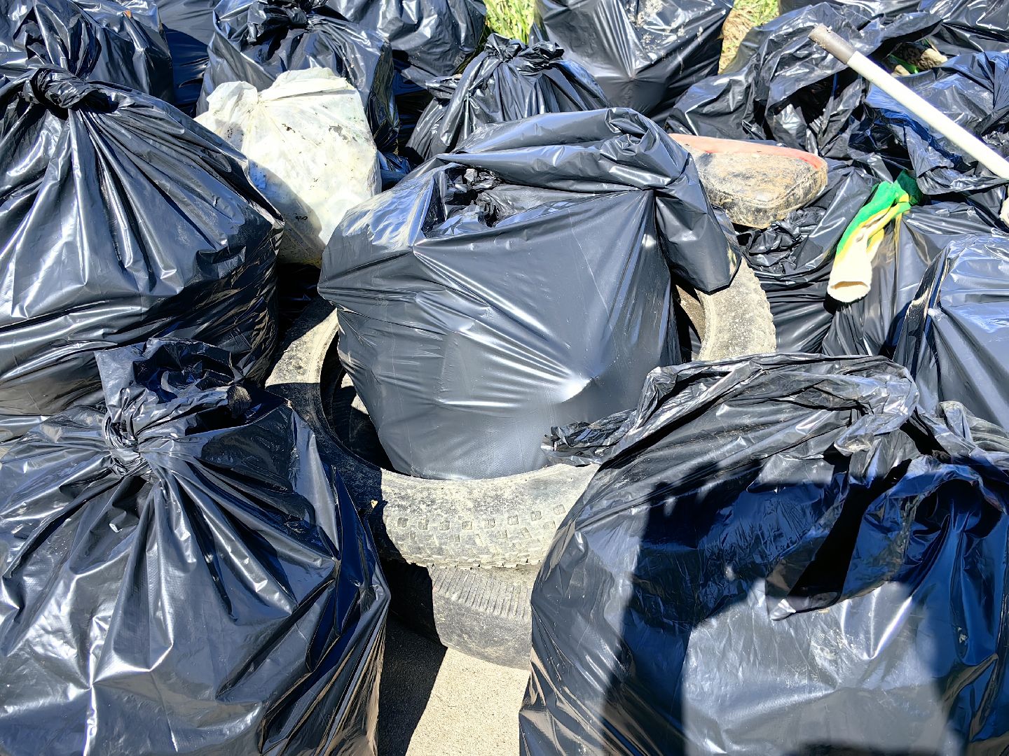 субботник, река Клязьма, уборка, пластик, отходы,