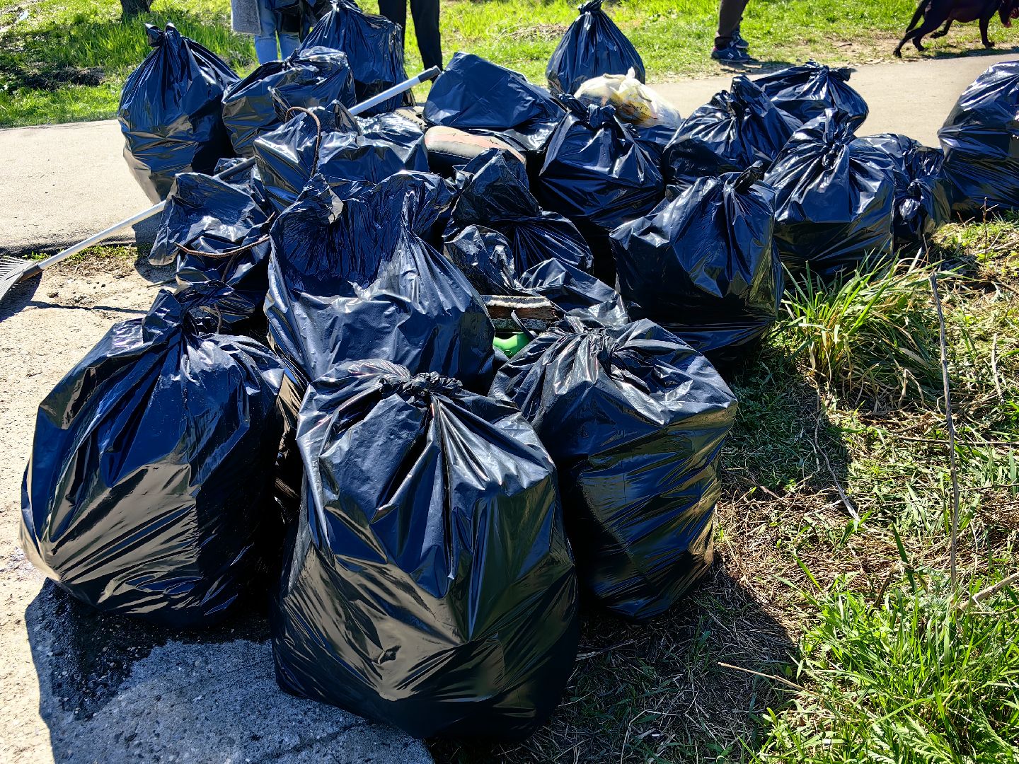 субботник, река Клязьма, уборка, пластик, отходы,