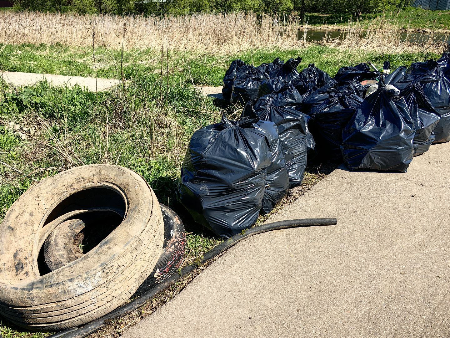 субботник, река Клязьма, уборка, пластик, отходы,