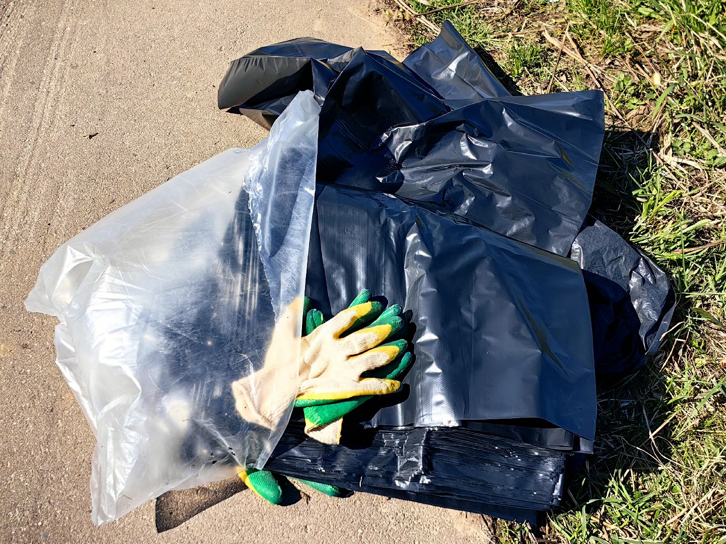 субботник, река Клязьма, уборка, пластик, отходы,