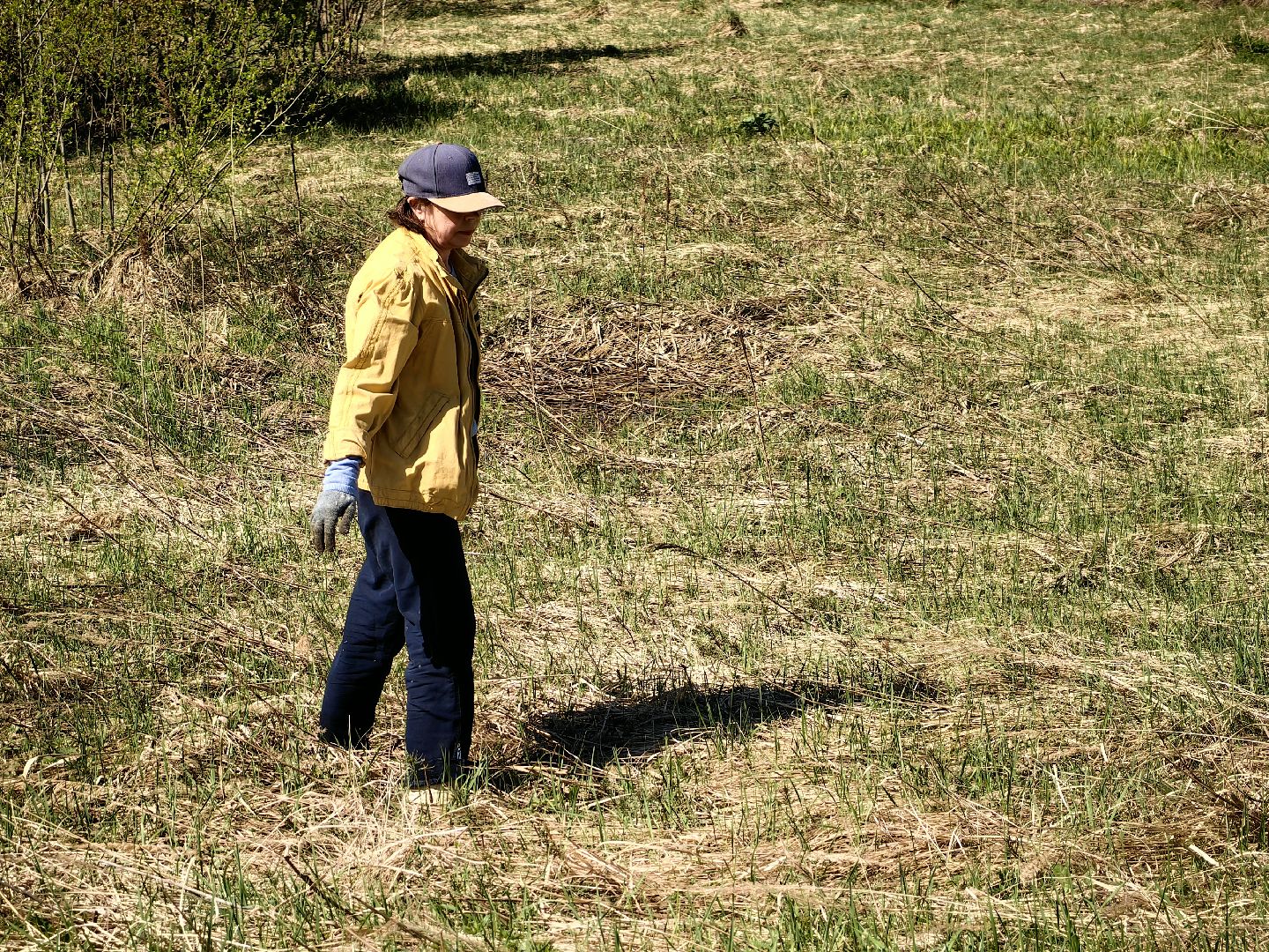 субботник, река Клязьма, уборка, пластик, отходы,