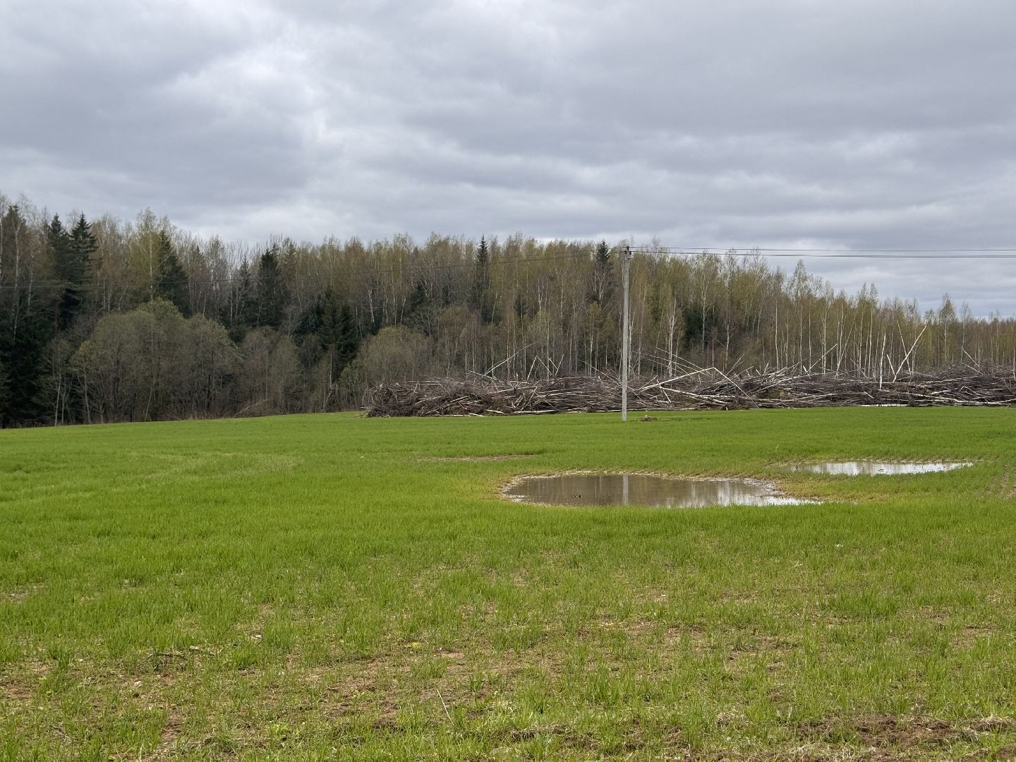 шаховская, операция смежник, пожароопасный сезон, лесничество,
