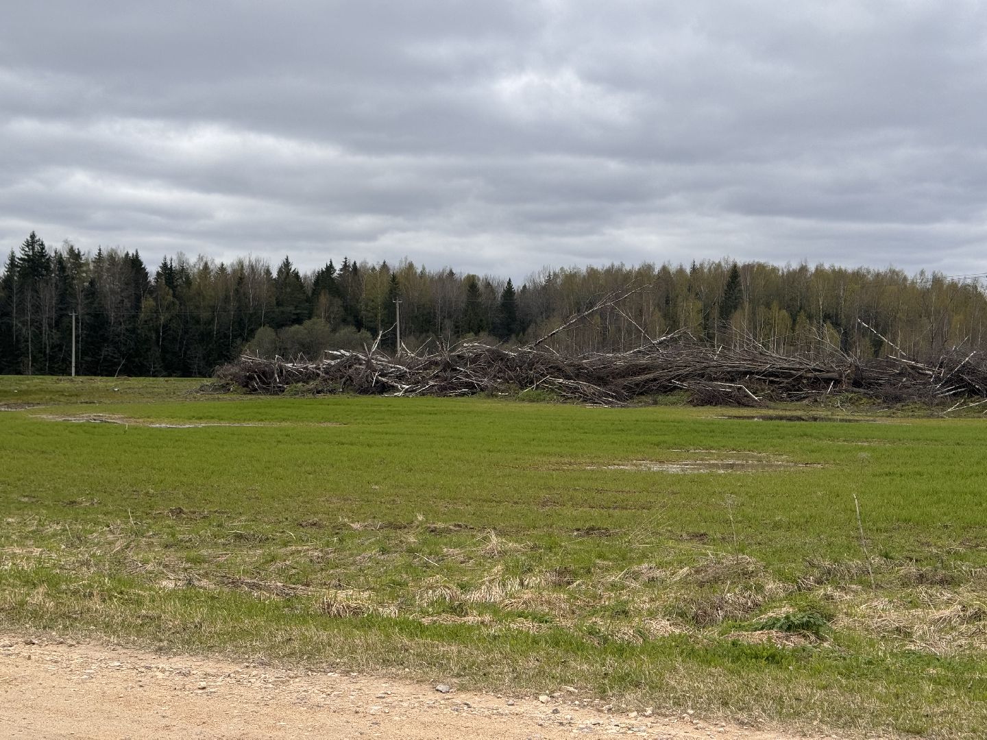 шаховская, операция смежник, пожароопасный сезон, лесничество,