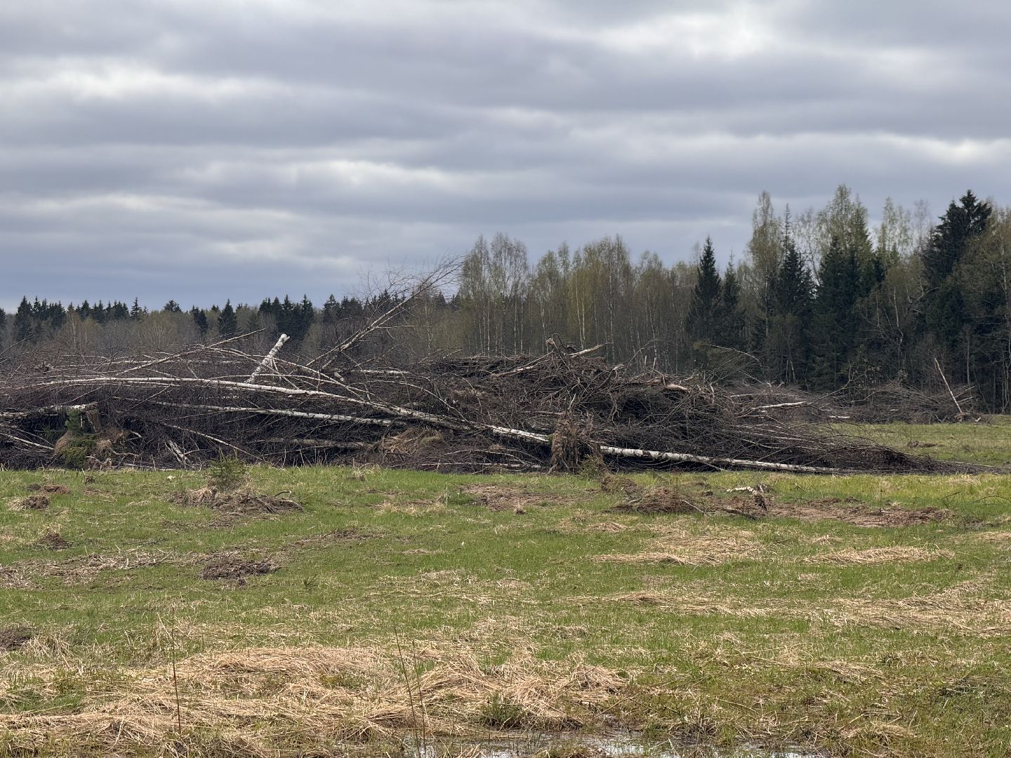 шаховская, операция смежник, пожароопасный сезон, лесничество,