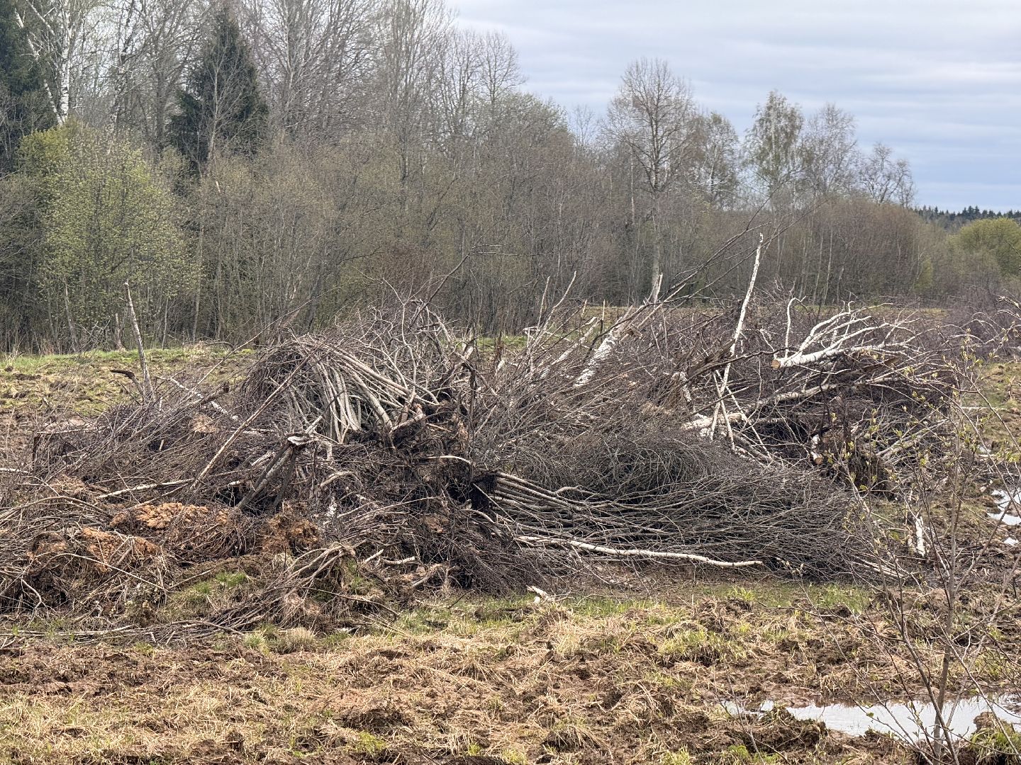 шаховская, операция смежник, пожароопасный сезон, лесничество,