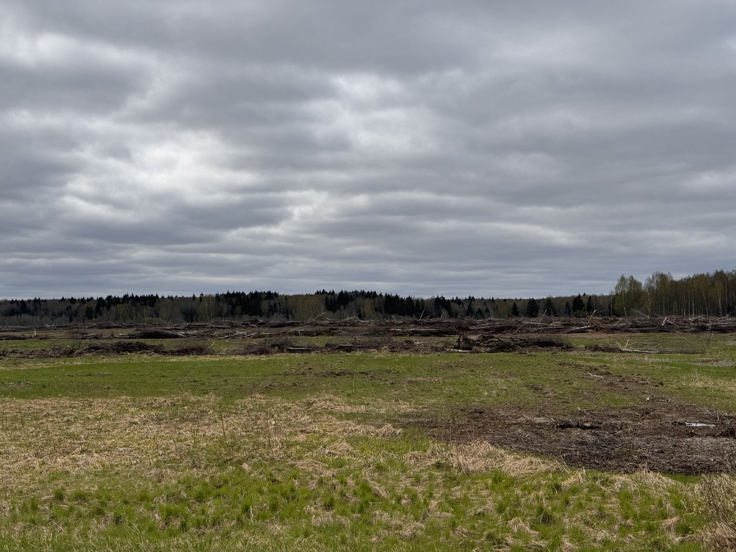 шаховская, операция смежник, пожароопасный сезон, лесничество,