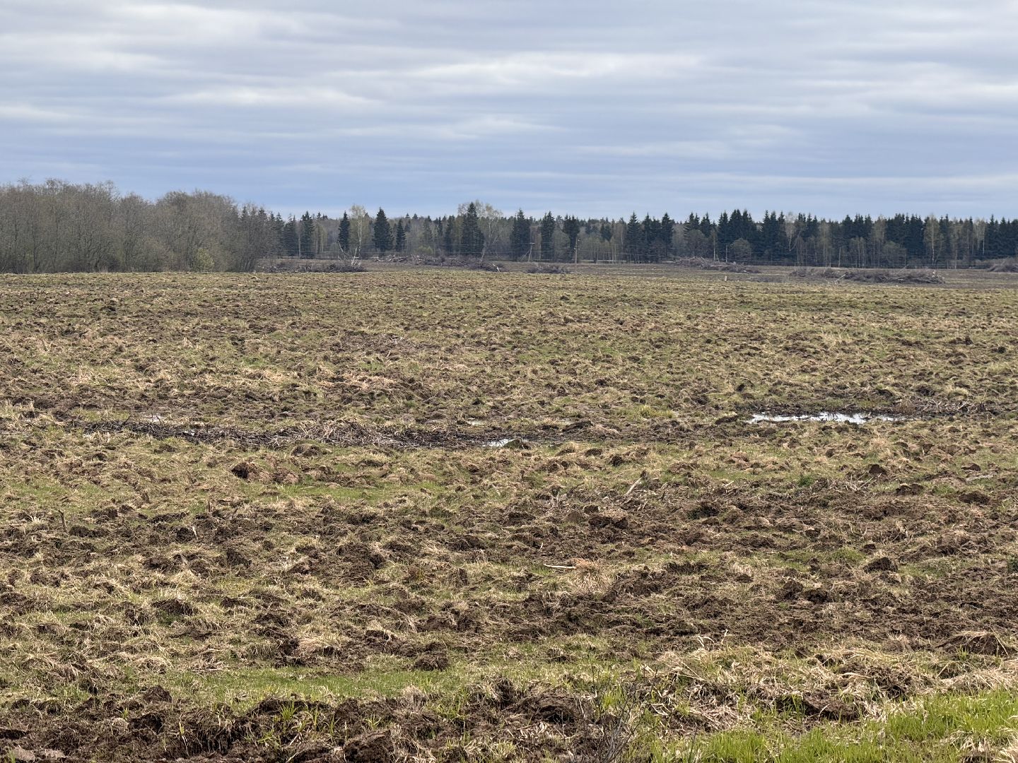 шаховская, операция смежник, пожароопасный сезон, лесничество,