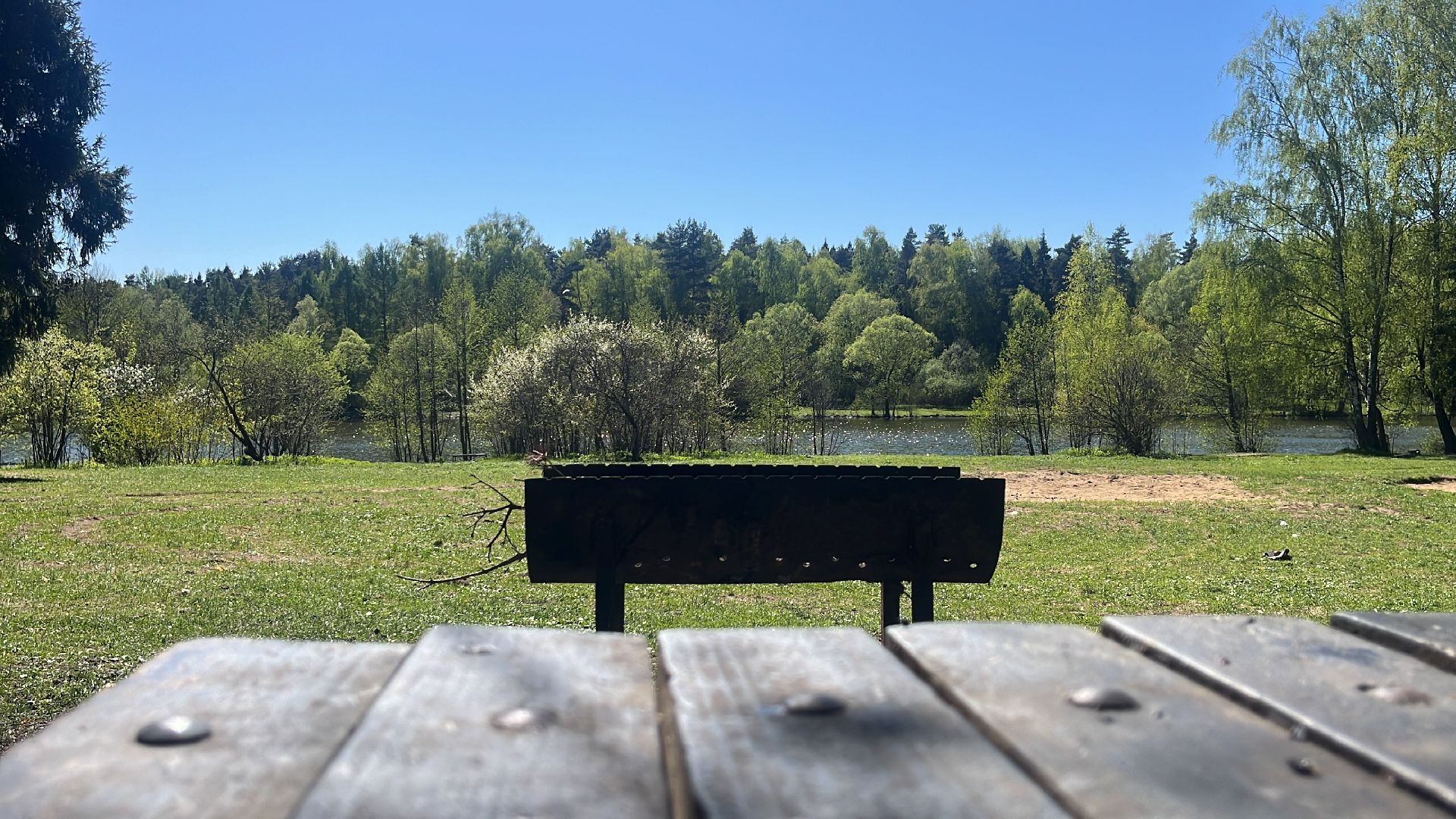 шашлык, шашлыки, шашлык у озера, мангал, озеро, пруд,