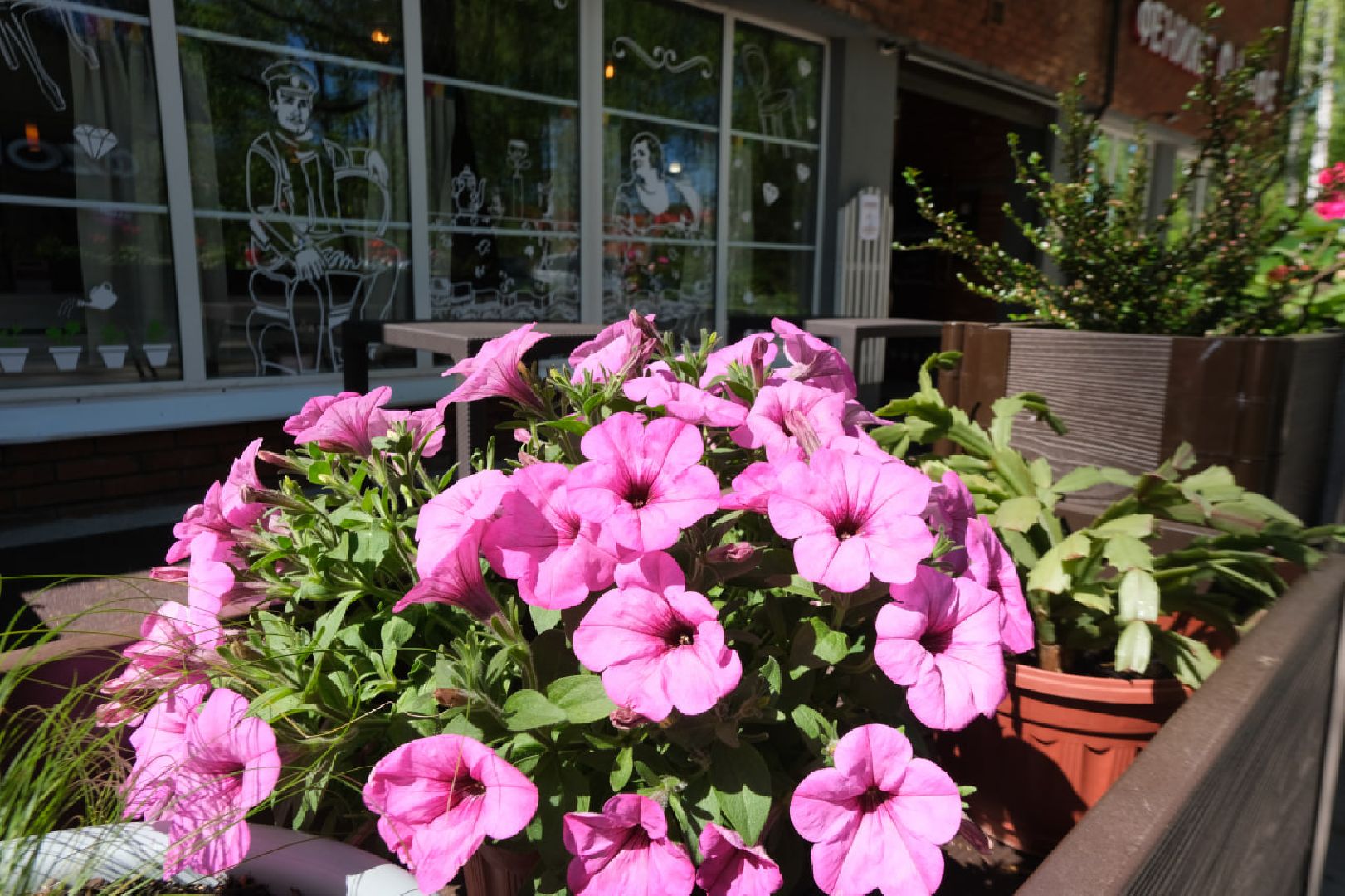 пущино, лето в подмосковье, рестораны,серпухов,