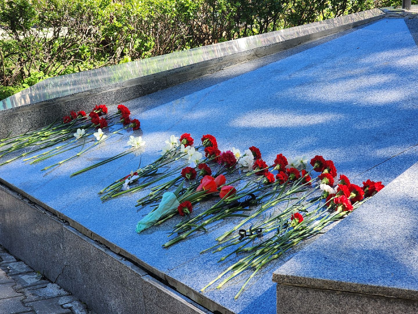 день победы, митинг памяти, возложение цветов, Мытищи, минута молчания,