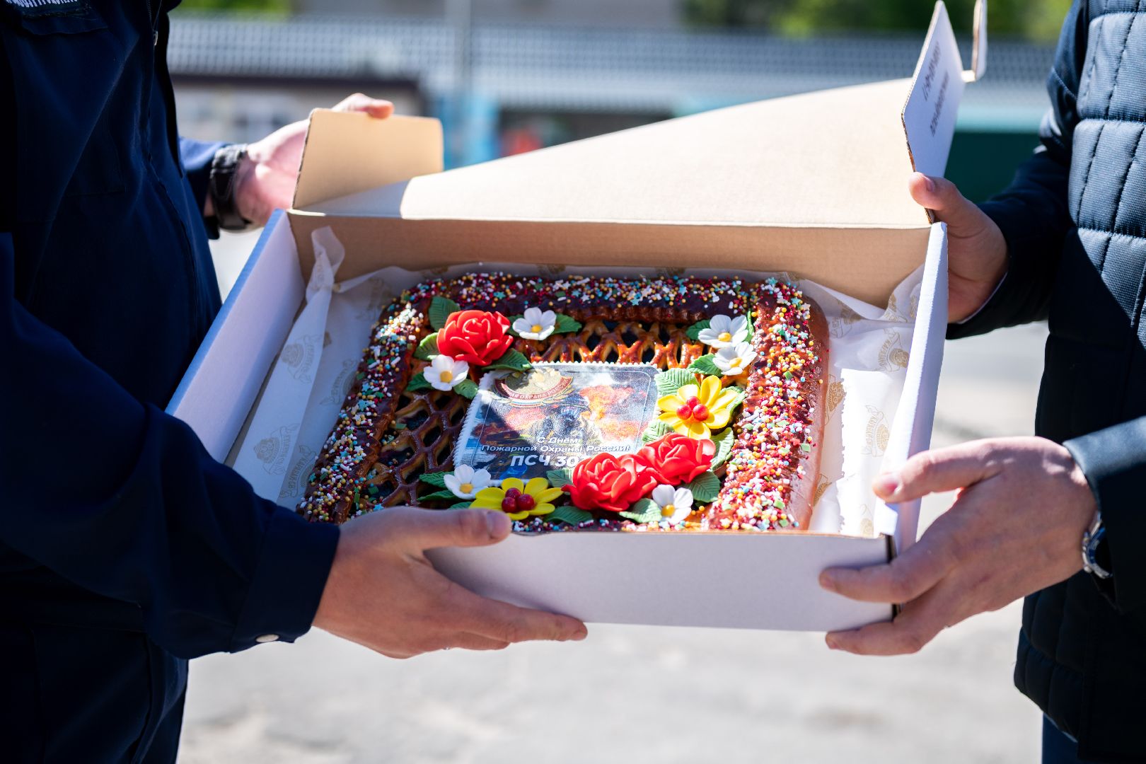 лыткарино, пожарные,