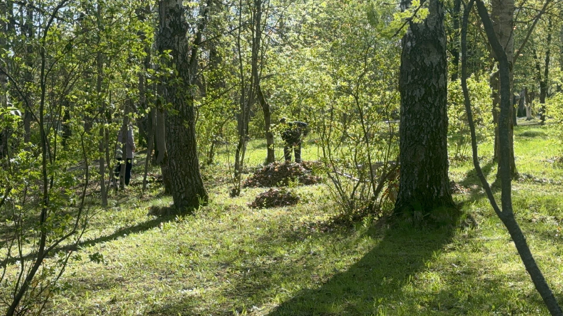 Солнечногорск, Субботник, Благоустройство, уборка территории, кадеты,