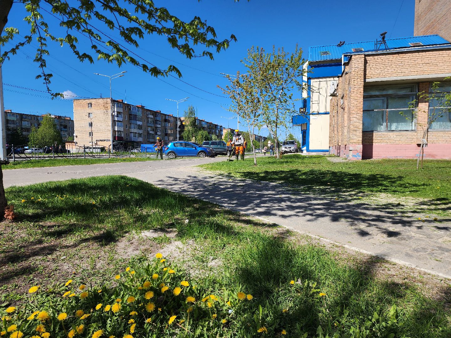 шатура, жкх и благоустройство, жкх подмосковье, покос травы,