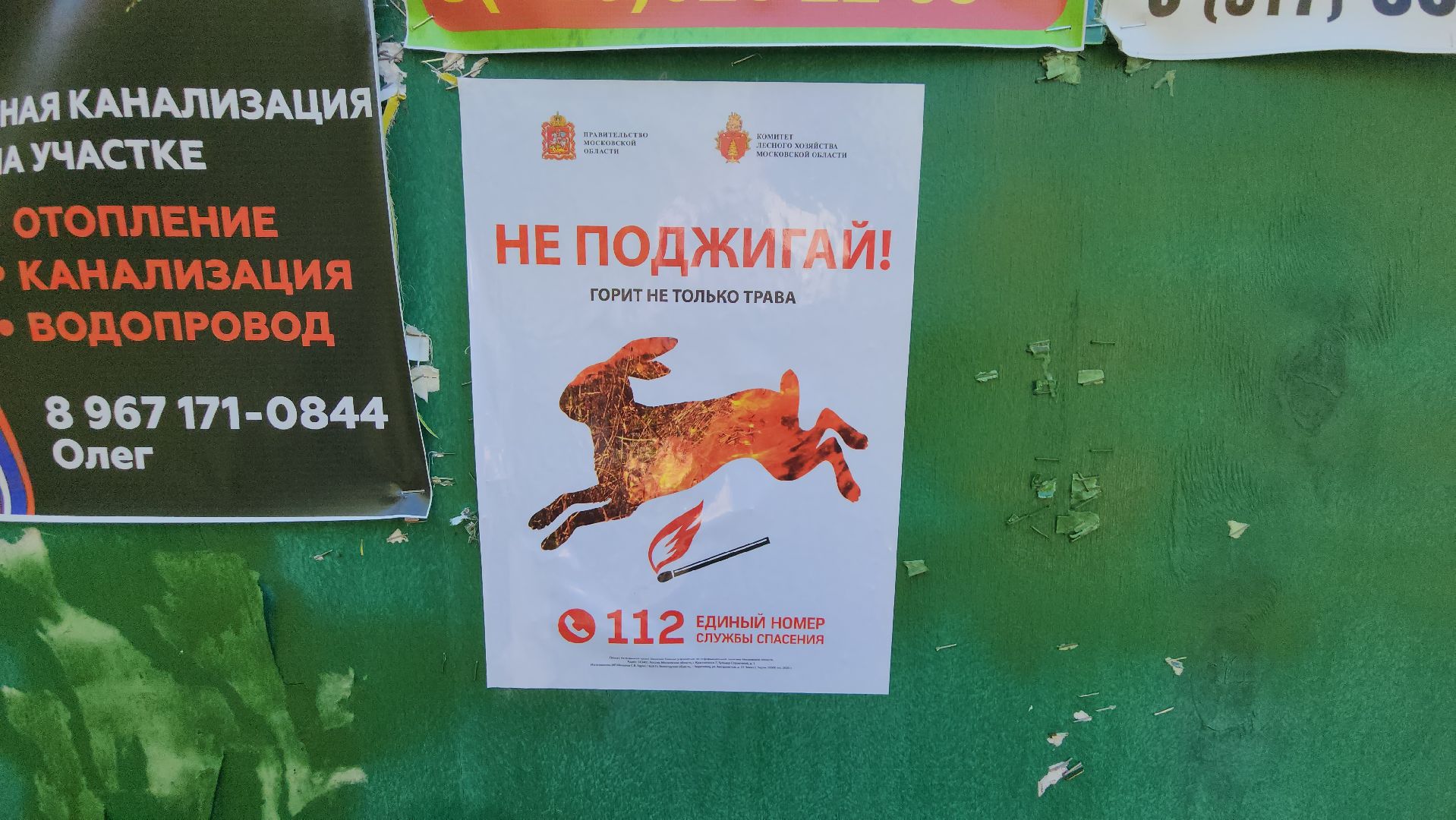 егорьевск, пожарная безопасность, лесничество, огонь, Надзор,