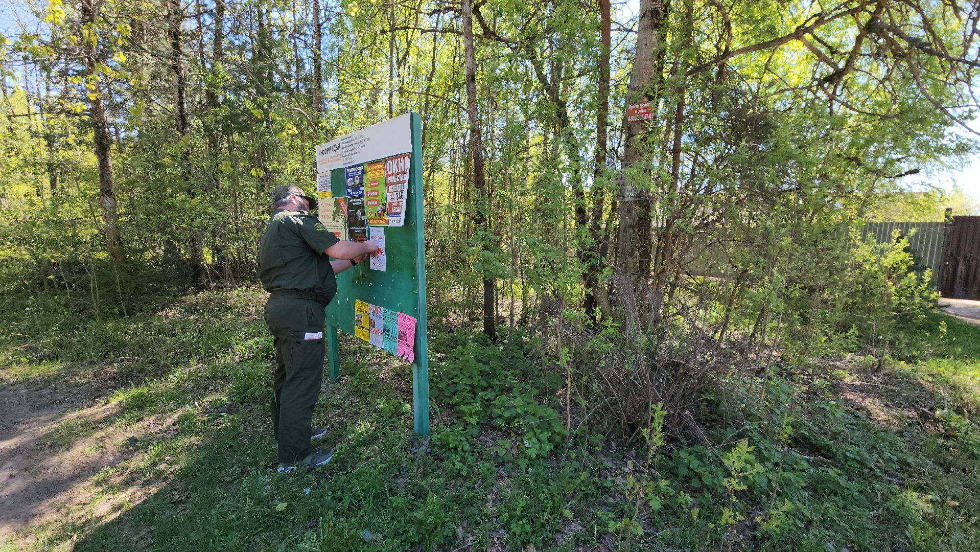 егорьевск, пожарная безопасность, лесничество, огонь, Надзор,