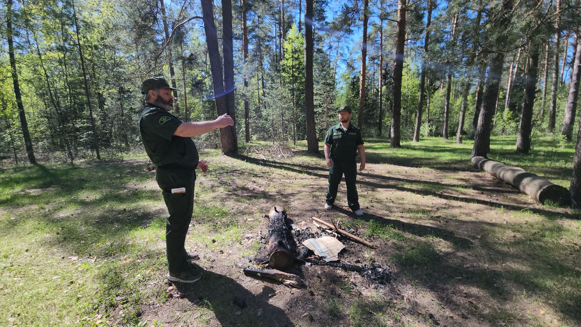 егорьевск, пожарная безопасность, лесничество, огонь, Надзор,