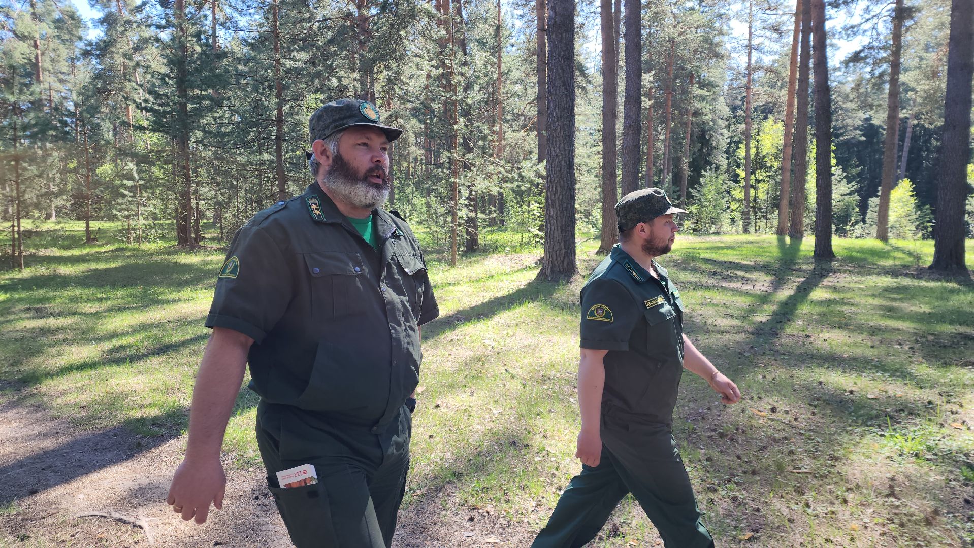 егорьевск, пожарная безопасность, лесничество, огонь, Надзор,