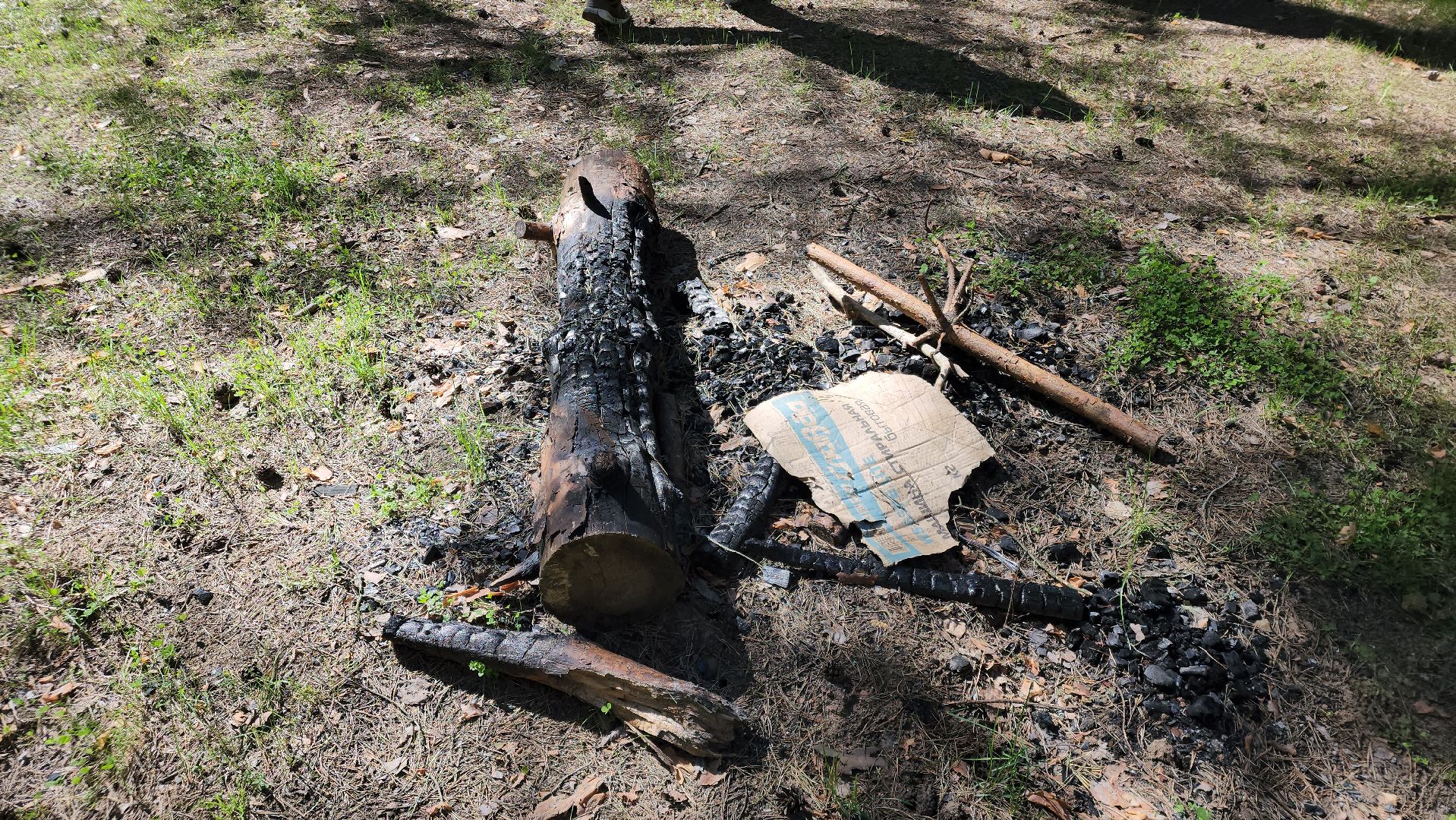 егорьевск, пожарная безопасность, лесничество, огонь, Надзор,