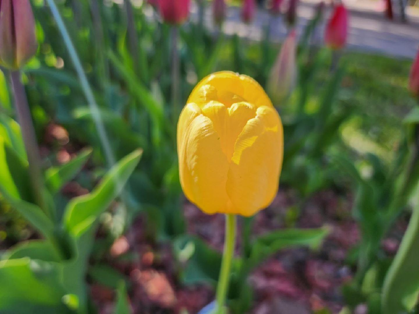 можайск, можайский городской округ, подмосковье, день победы, благоустройство, украшение округа, 9 мая,