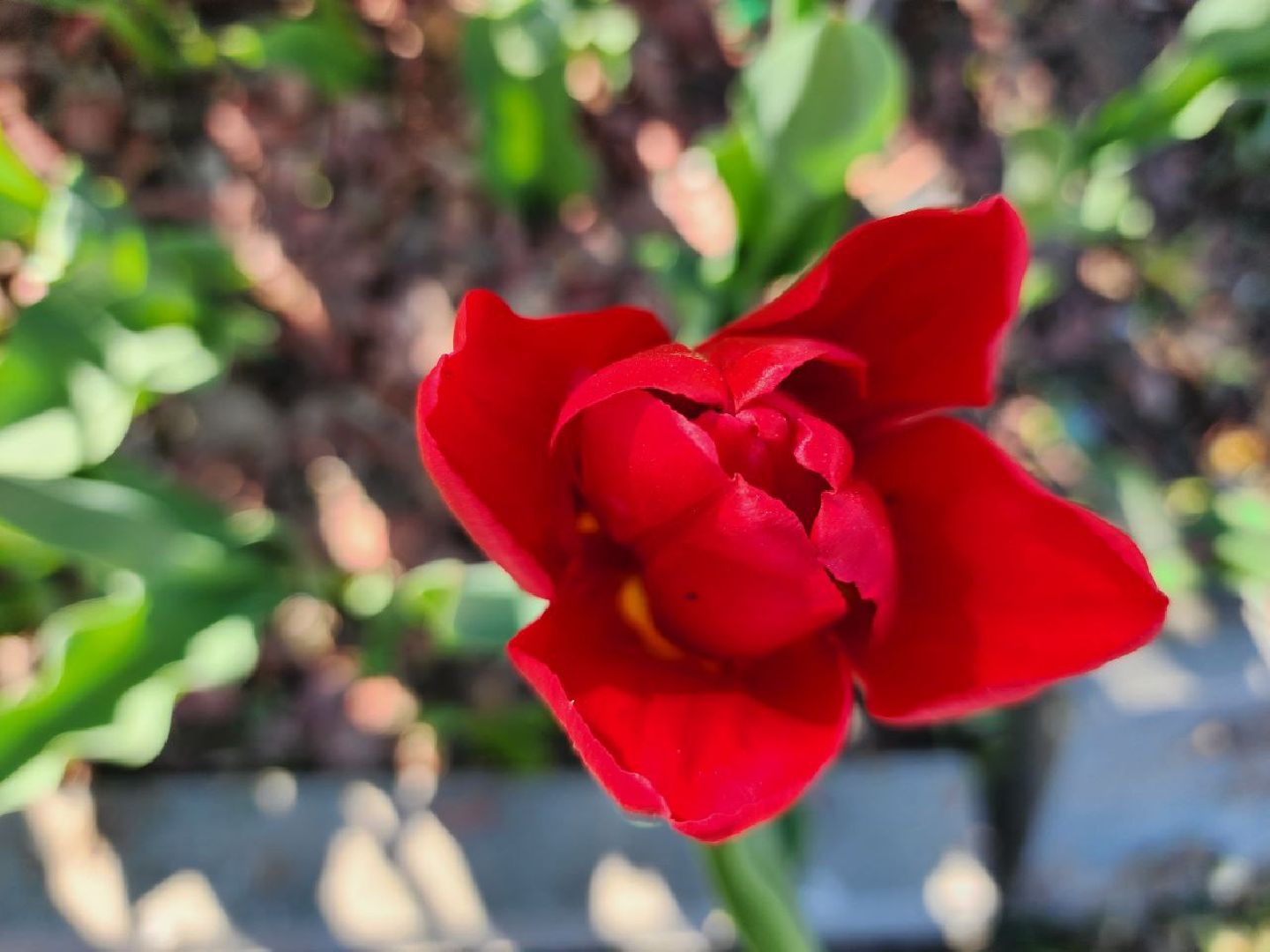 можайск, можайский городской округ, подмосковье, день победы, благоустройство, украшение округа, 9 мая,