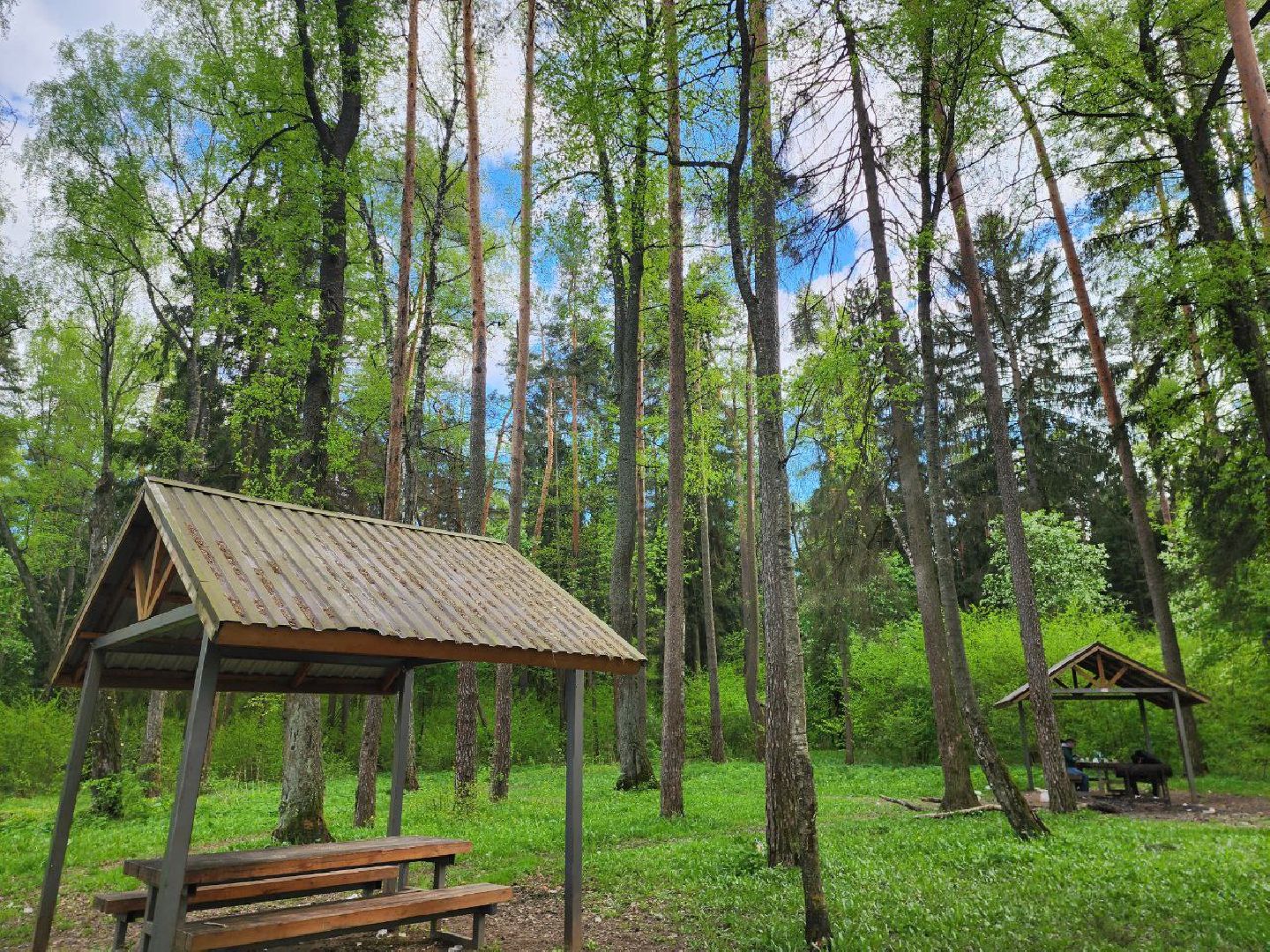можайск, можайский городской округ, подмосковье, пикниковая зона, зона отдыха, лесной фонд, шашлык, праздники, штраф, оборудованная зона,