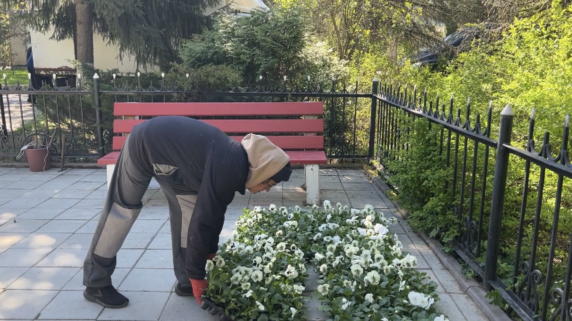 химки, благоустройство, цветы, озеленение,