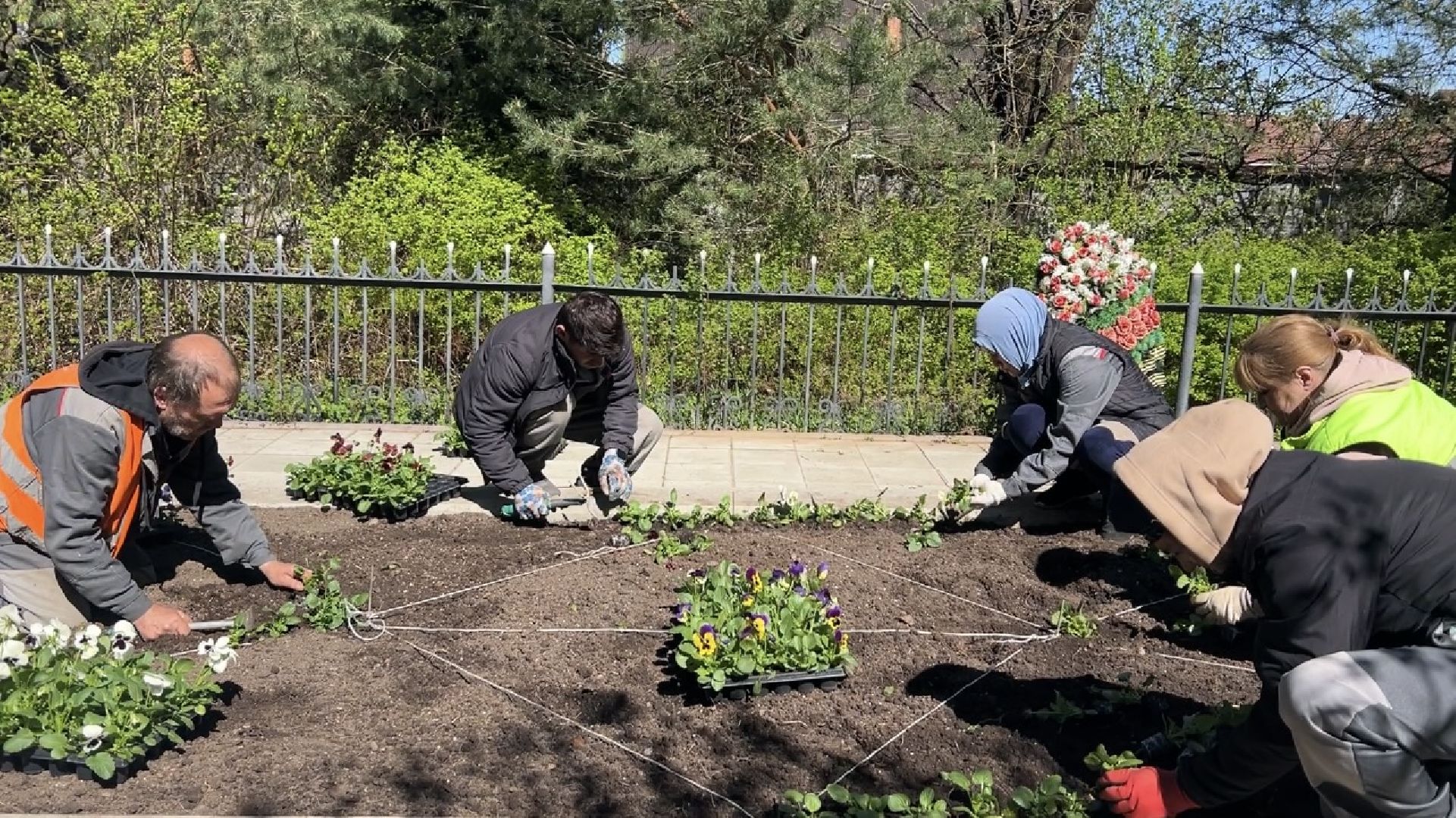 химки, благоустройство, цветы, озеленение,
