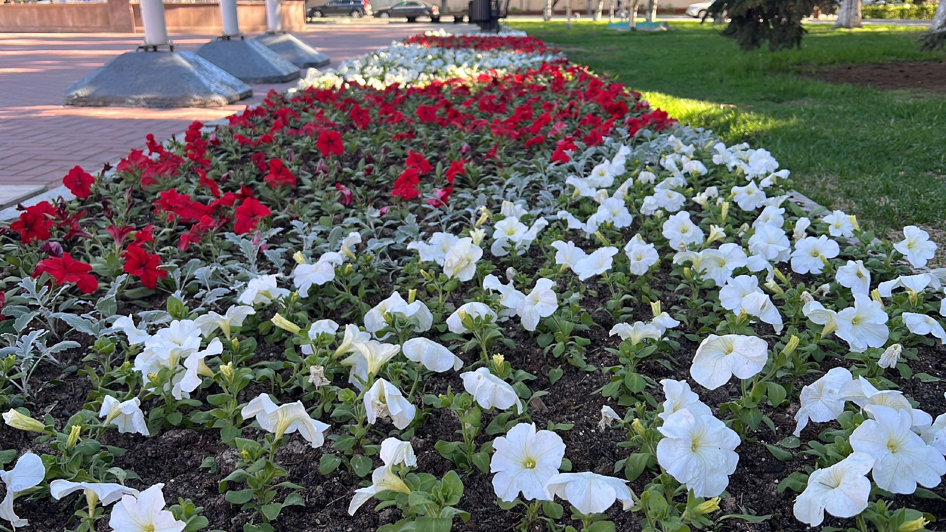 химки, благоустройство, цветы, озеленение,