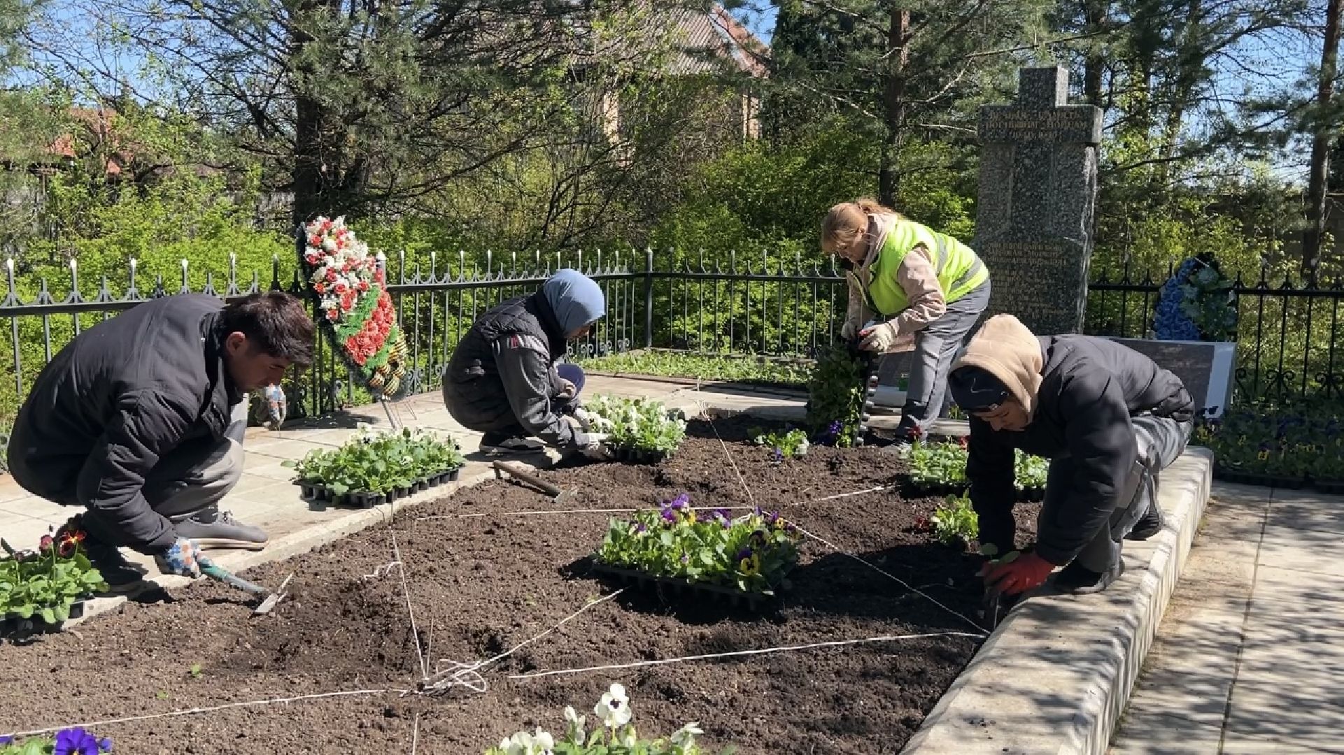 химки, благоустройство, цветы, озеленение,