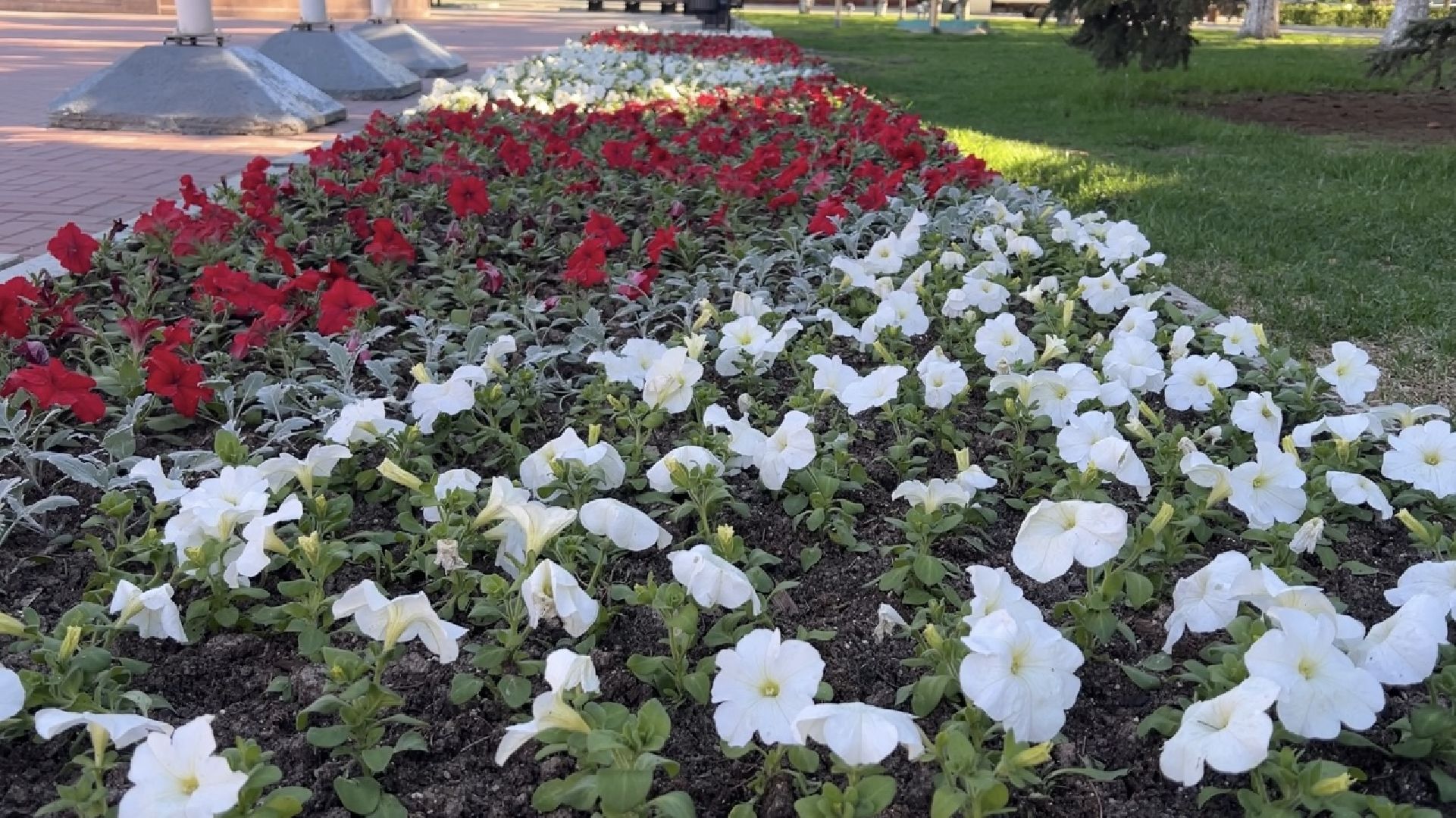 химки, благоустройство, цветы, озеленение,