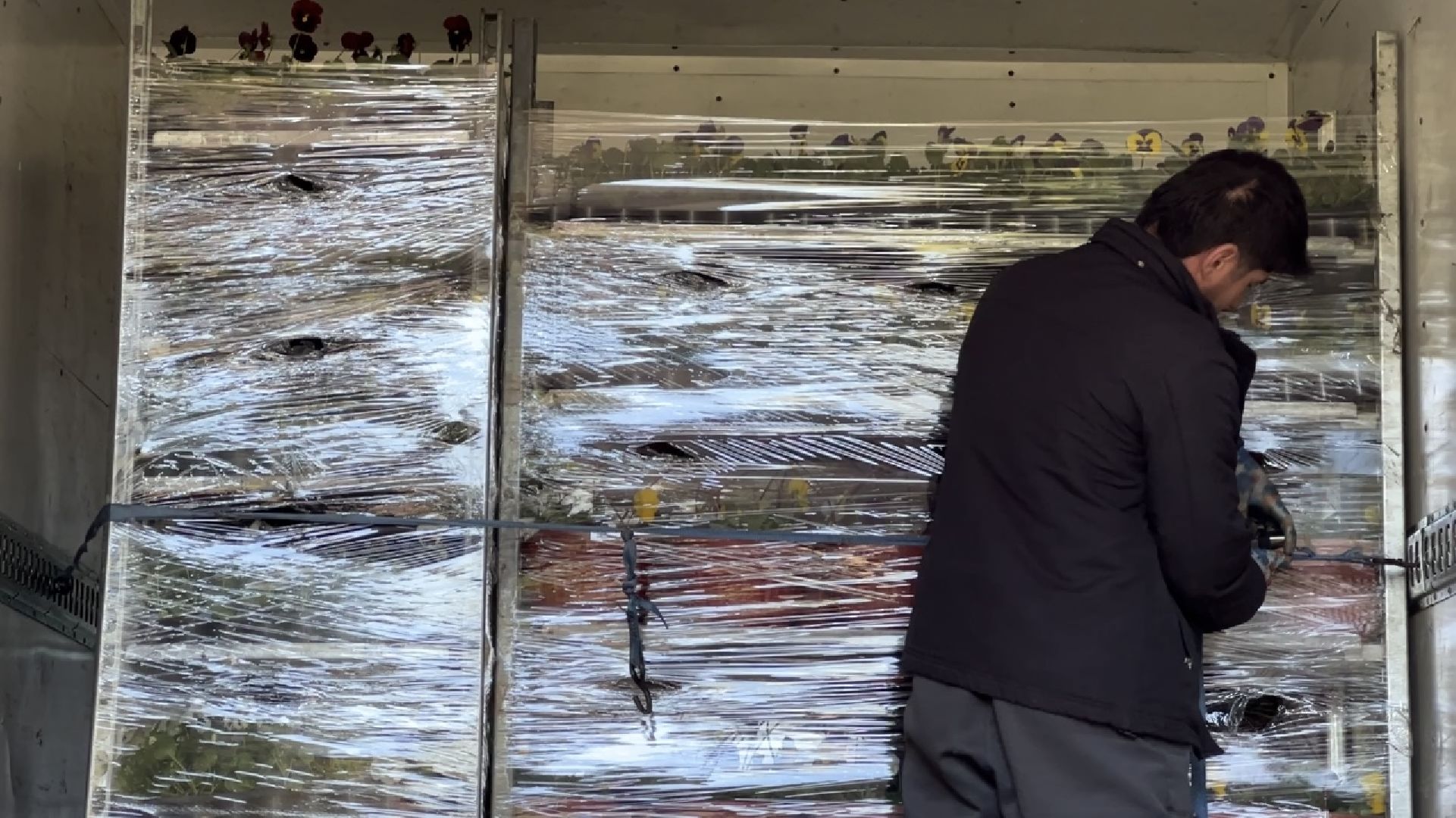 химки, благоустройство, цветы, озеленение,