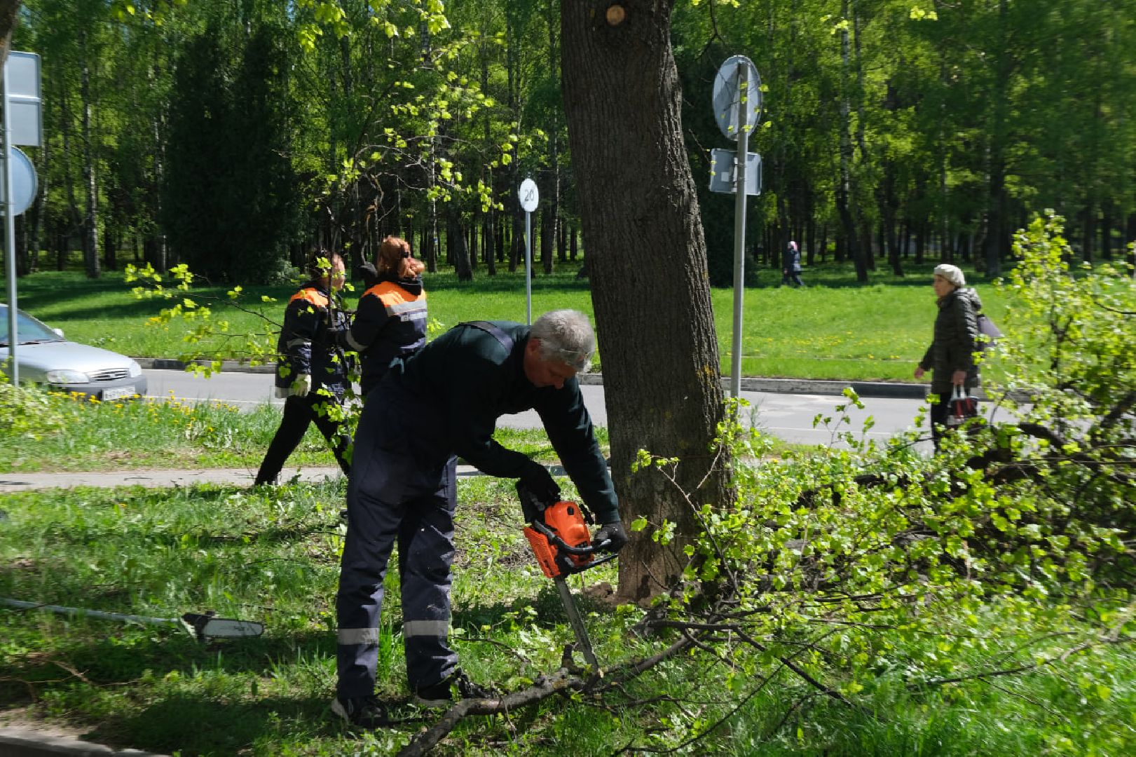 пущино, серпухов, благоуйстройство,