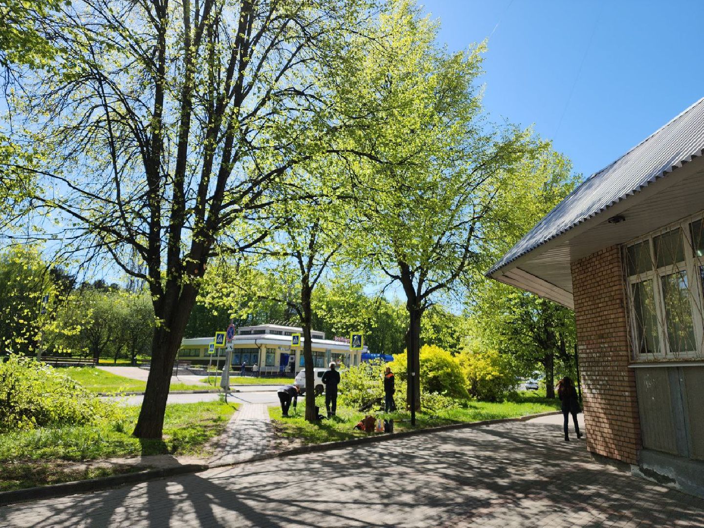 пущино, серпухов, благоуйстройство,