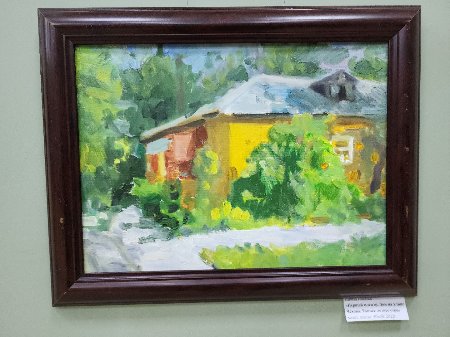 пушкино, экспозиция, самобытное творчество, живопись, художественная выставка, художник-педагог,