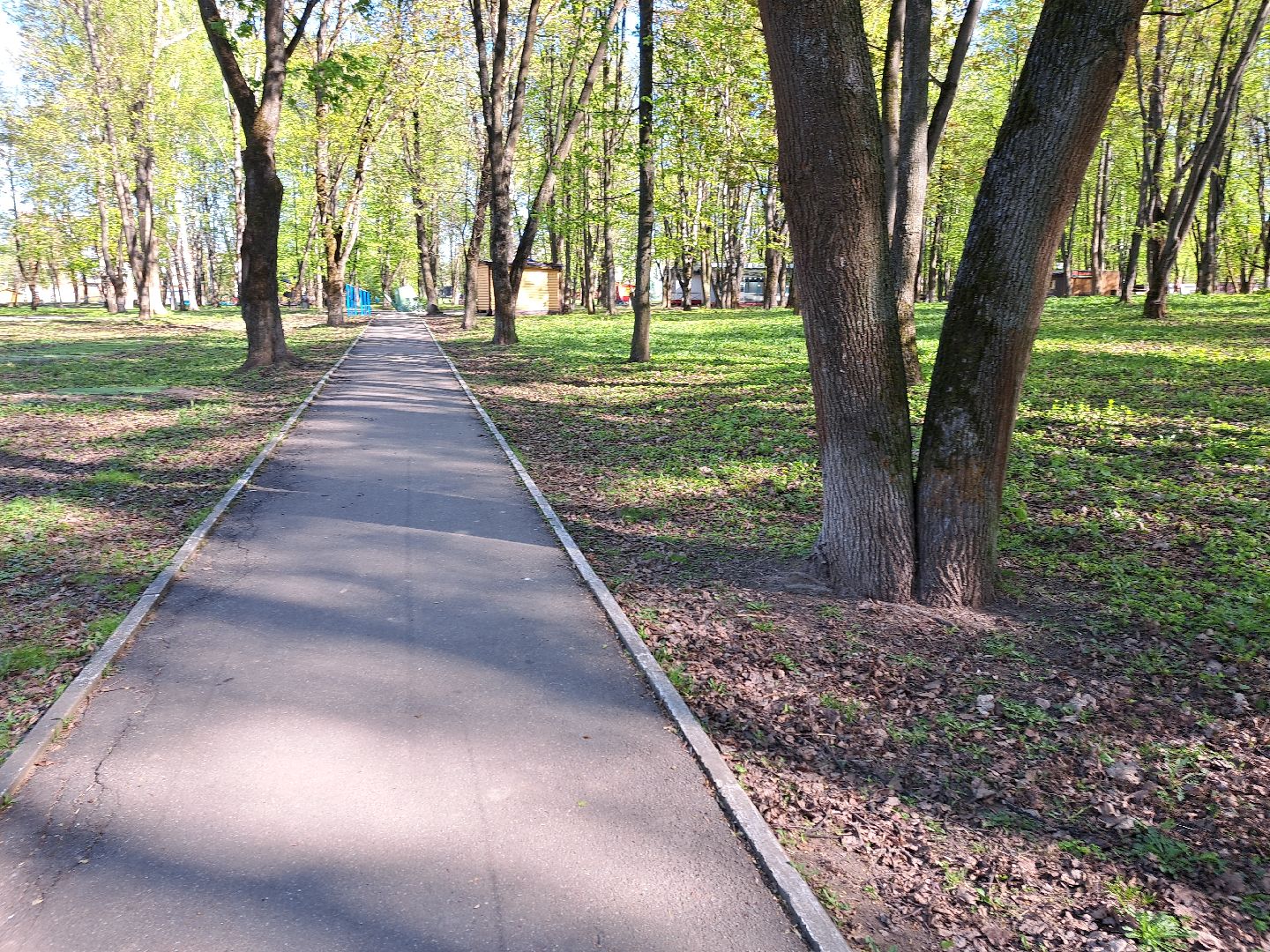 Щлково, зона для отдыха, пикник, Парк,