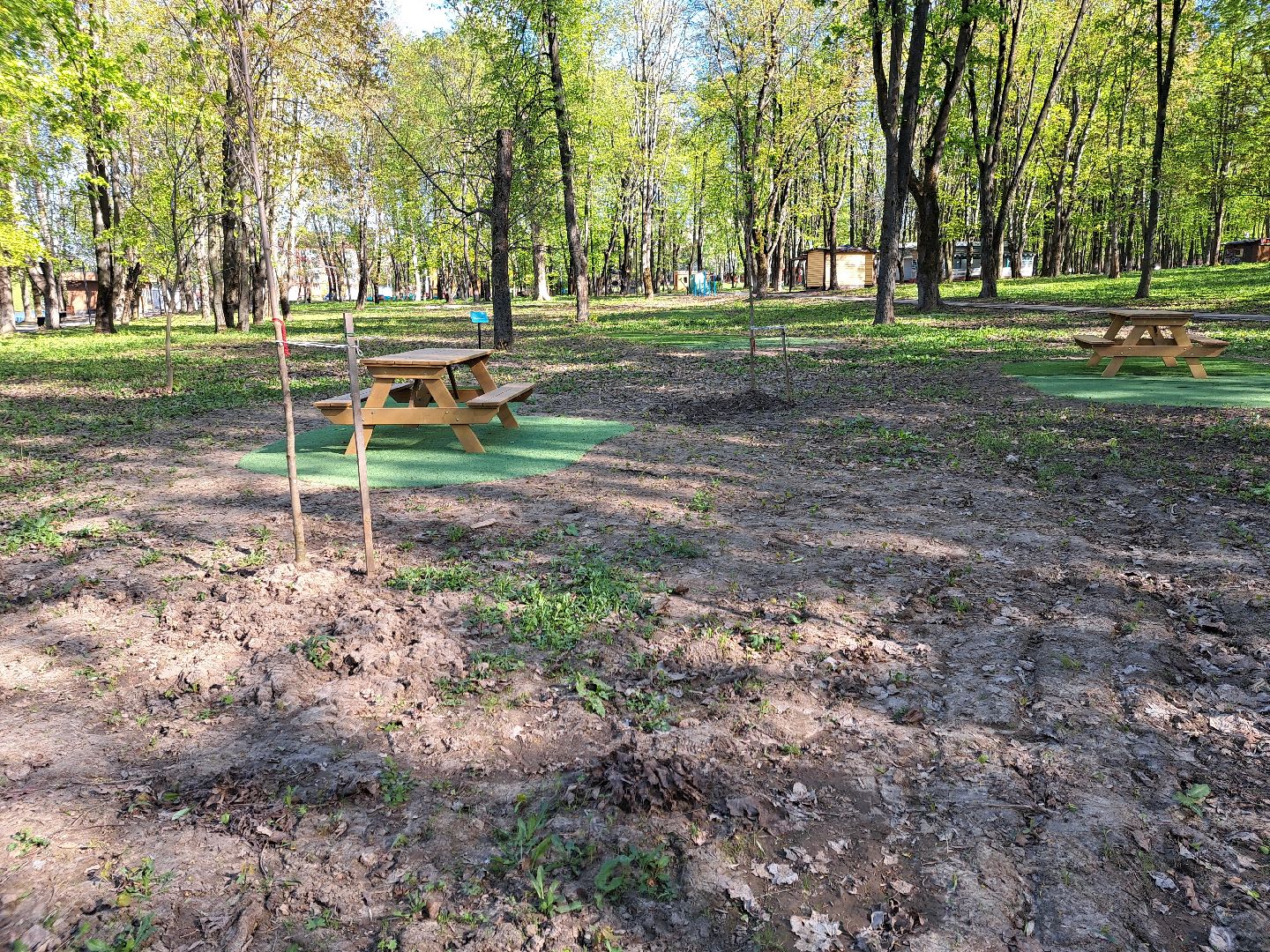 Щлково, зона для отдыха, пикник, Парк,