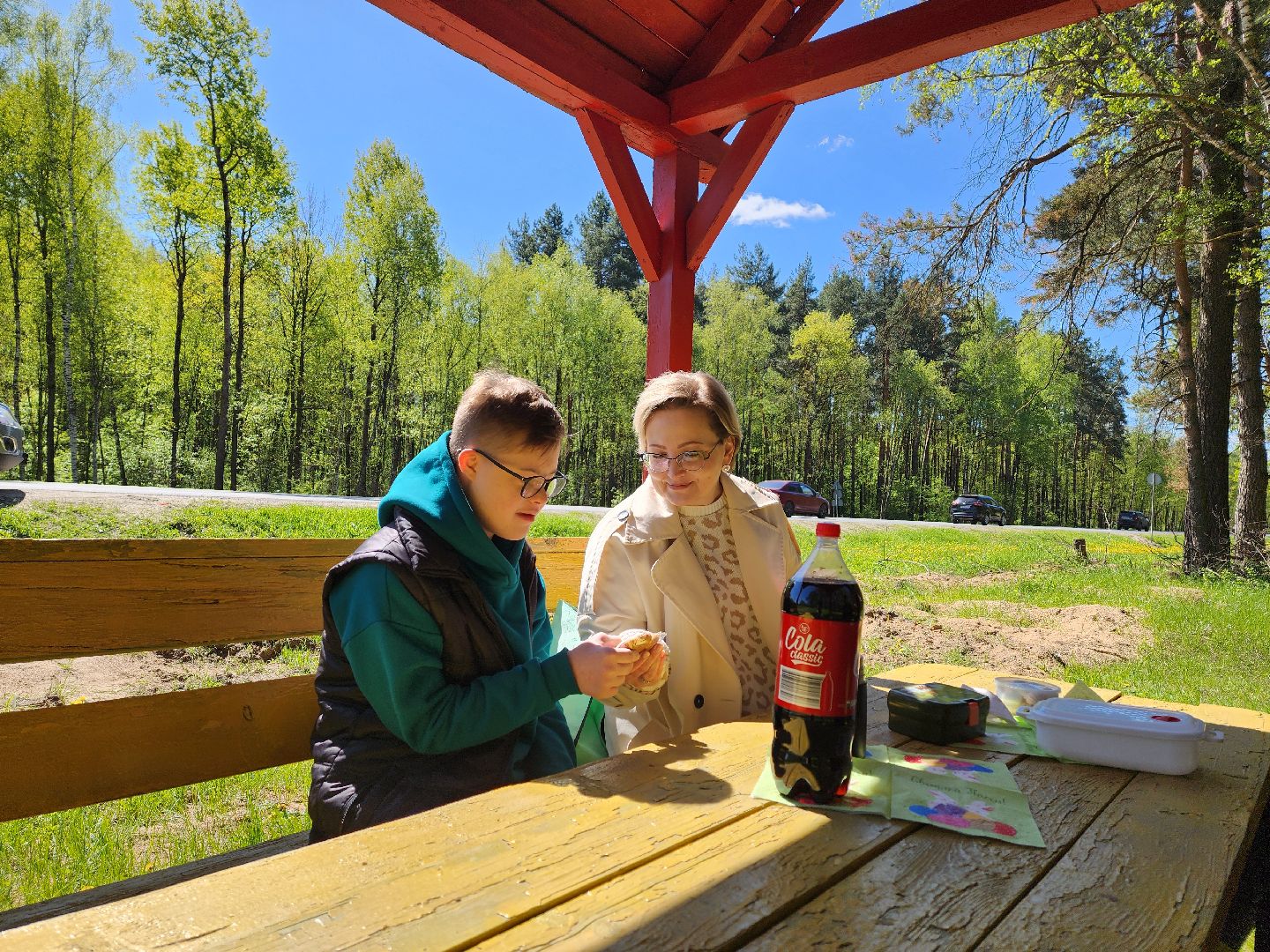 воскресенск, места для пикника, безопасность, лес, пожароопасный сезон,