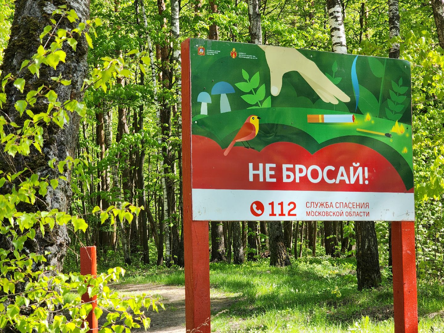 воскресенск, места для пикника, безопасность, лес, пожароопасный сезон,