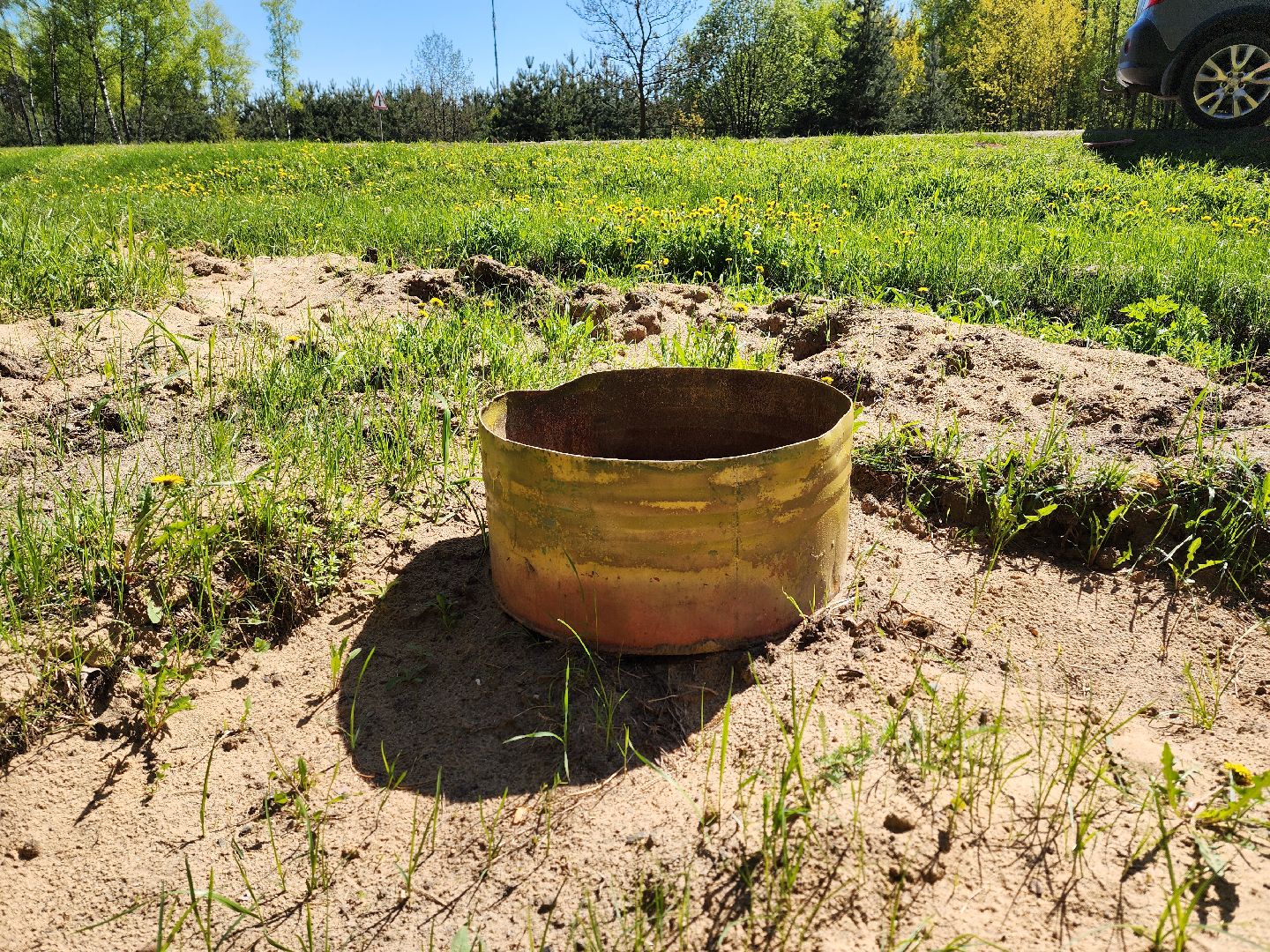 воскресенск, места для пикника, безопасность, лес, пожароопасный сезон,
